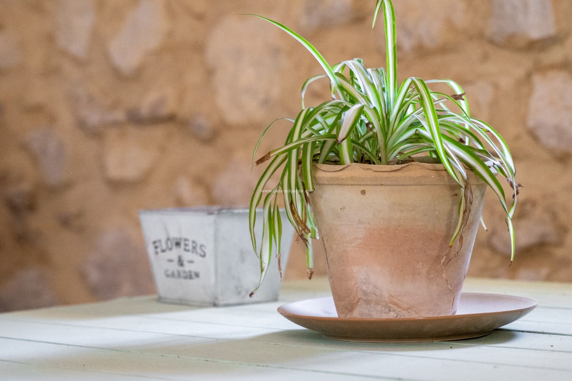 Reventa - Other - Castalla - Inland