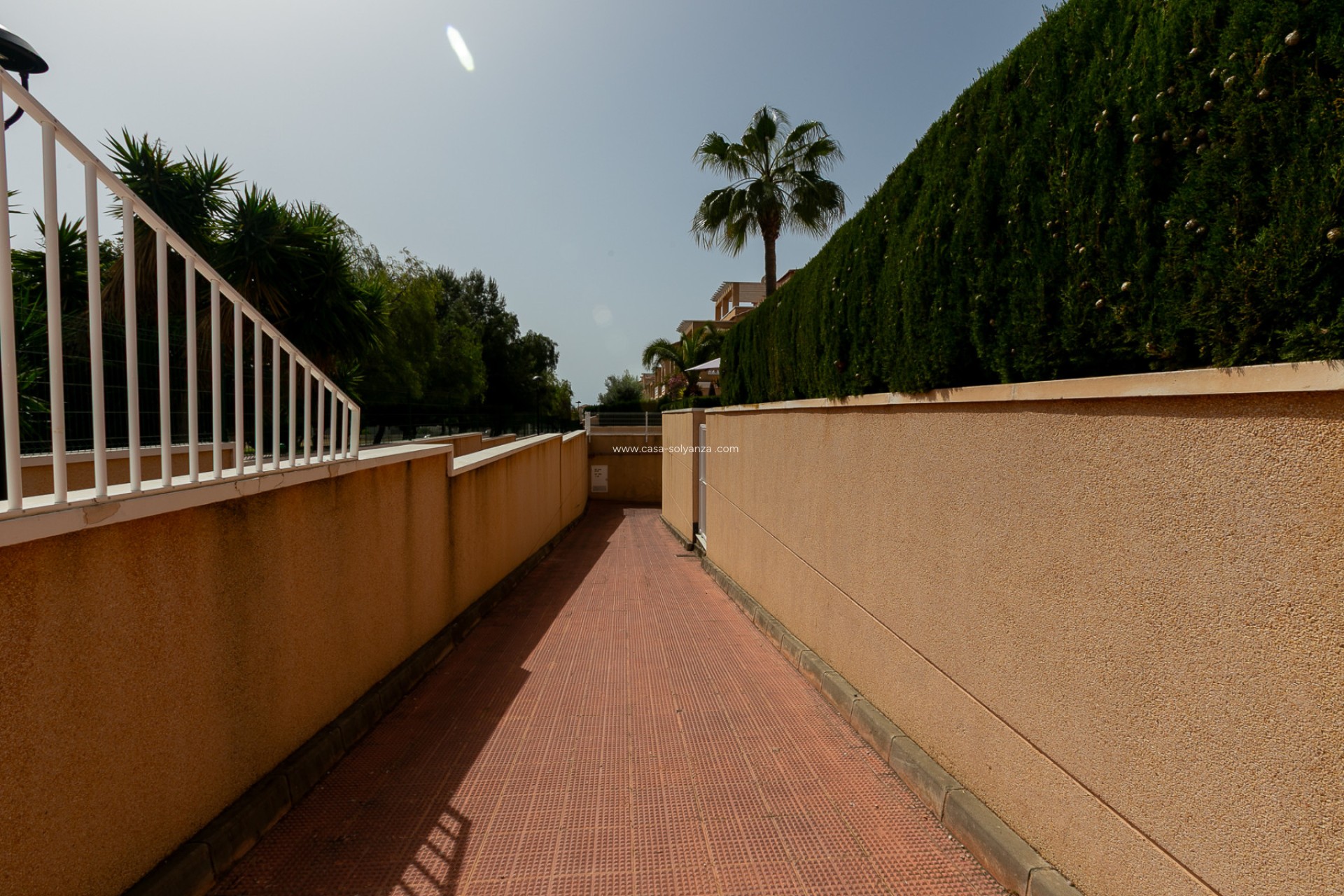 Reventa - Quad - Playa Flamenca - Zenia Mar
