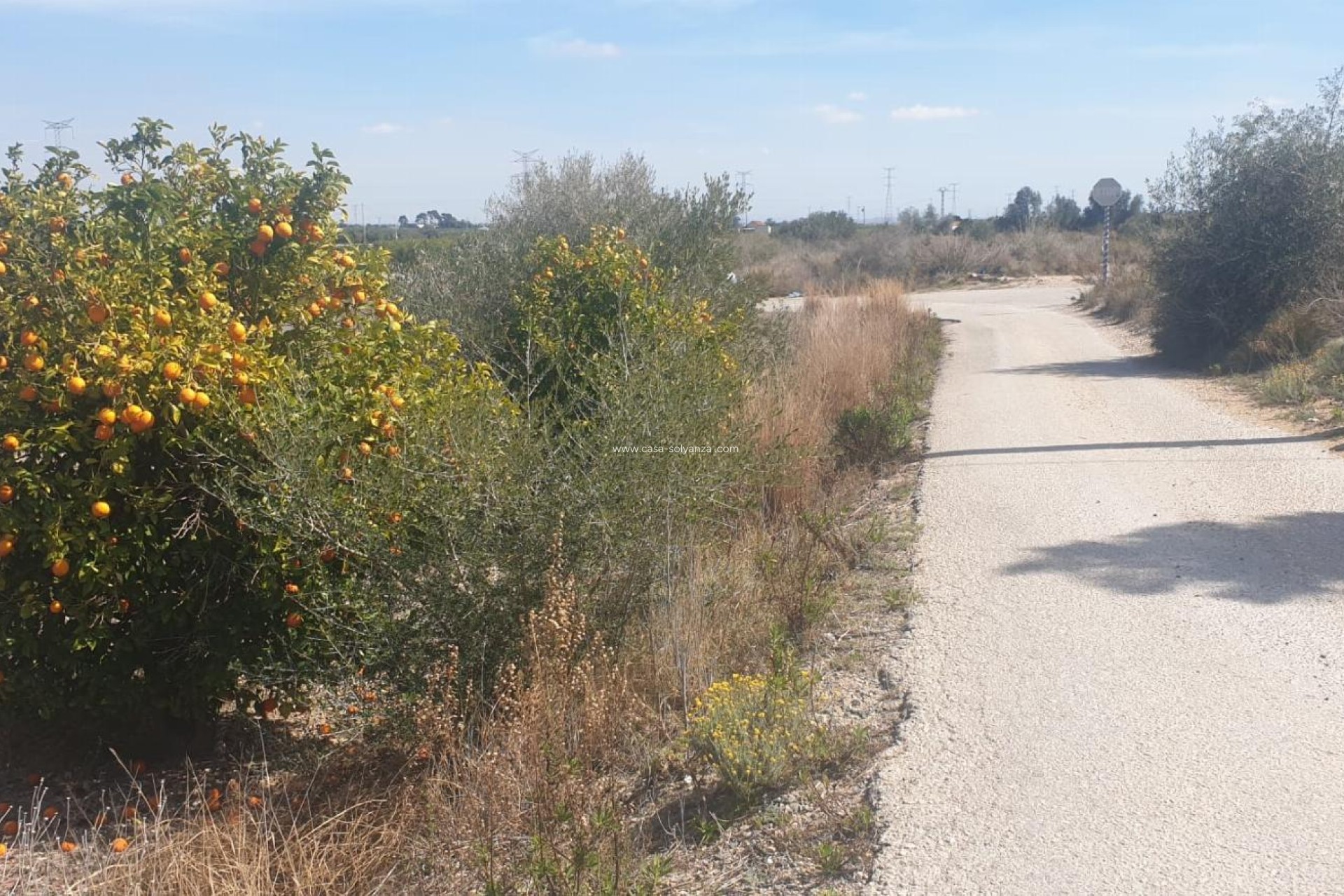 Reventa - Terreno - Benferri - HUERTA PUEBLO