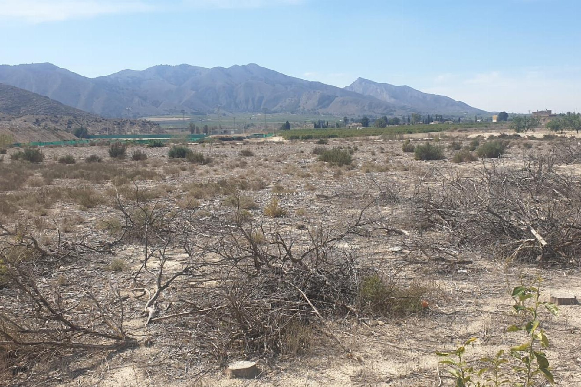 Reventa - Terreno - Benferri - HUERTA PUEBLO