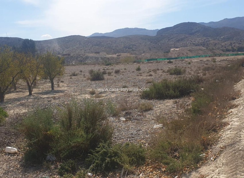 Reventa - Terreno - Benferri - HUERTA PUEBLO