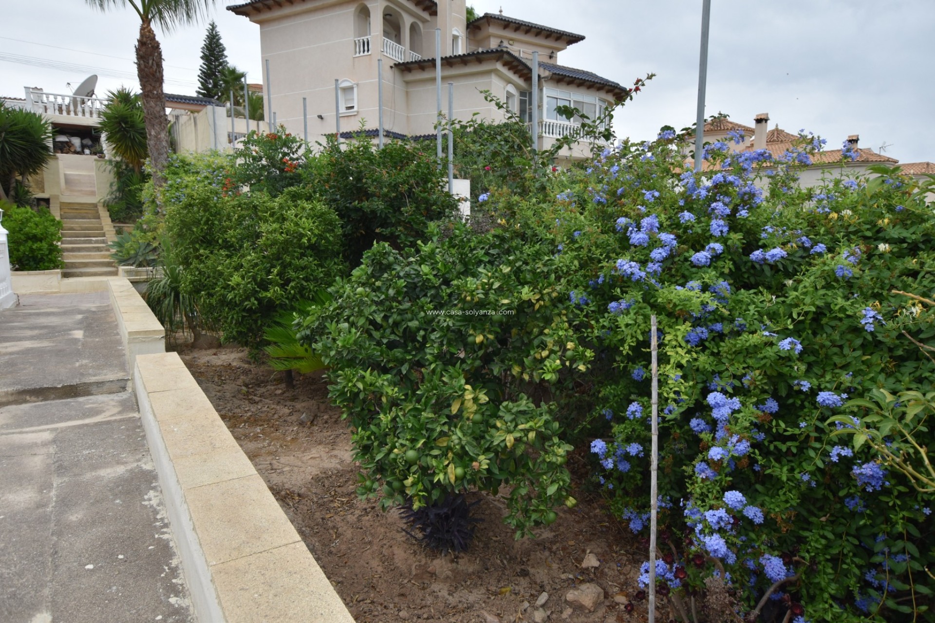 Reventa - Villa - Algorfa - Inland