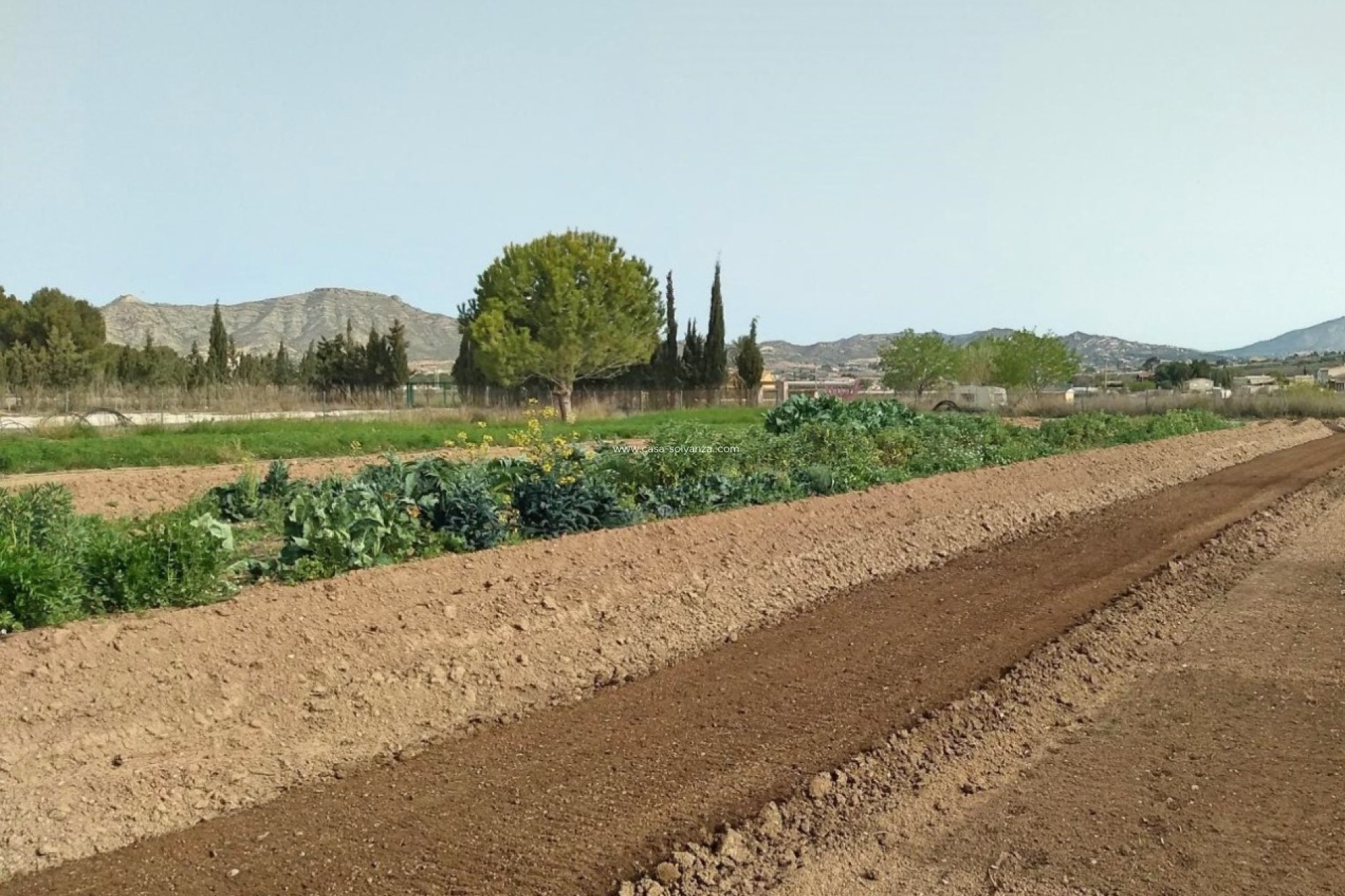 Reventa - Villa - Aspe - Inland