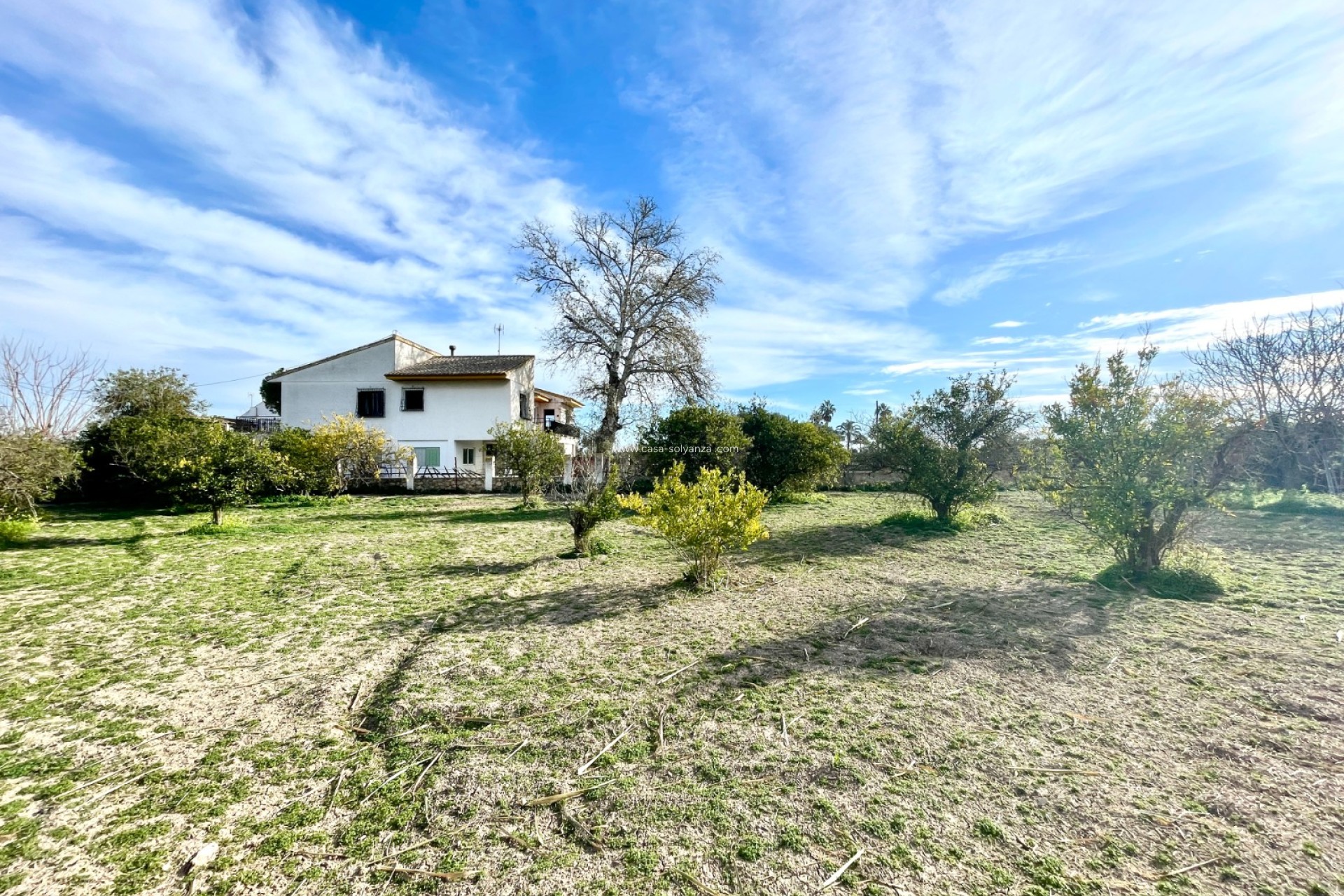 Reventa - Villa - Benejuzar - Inland