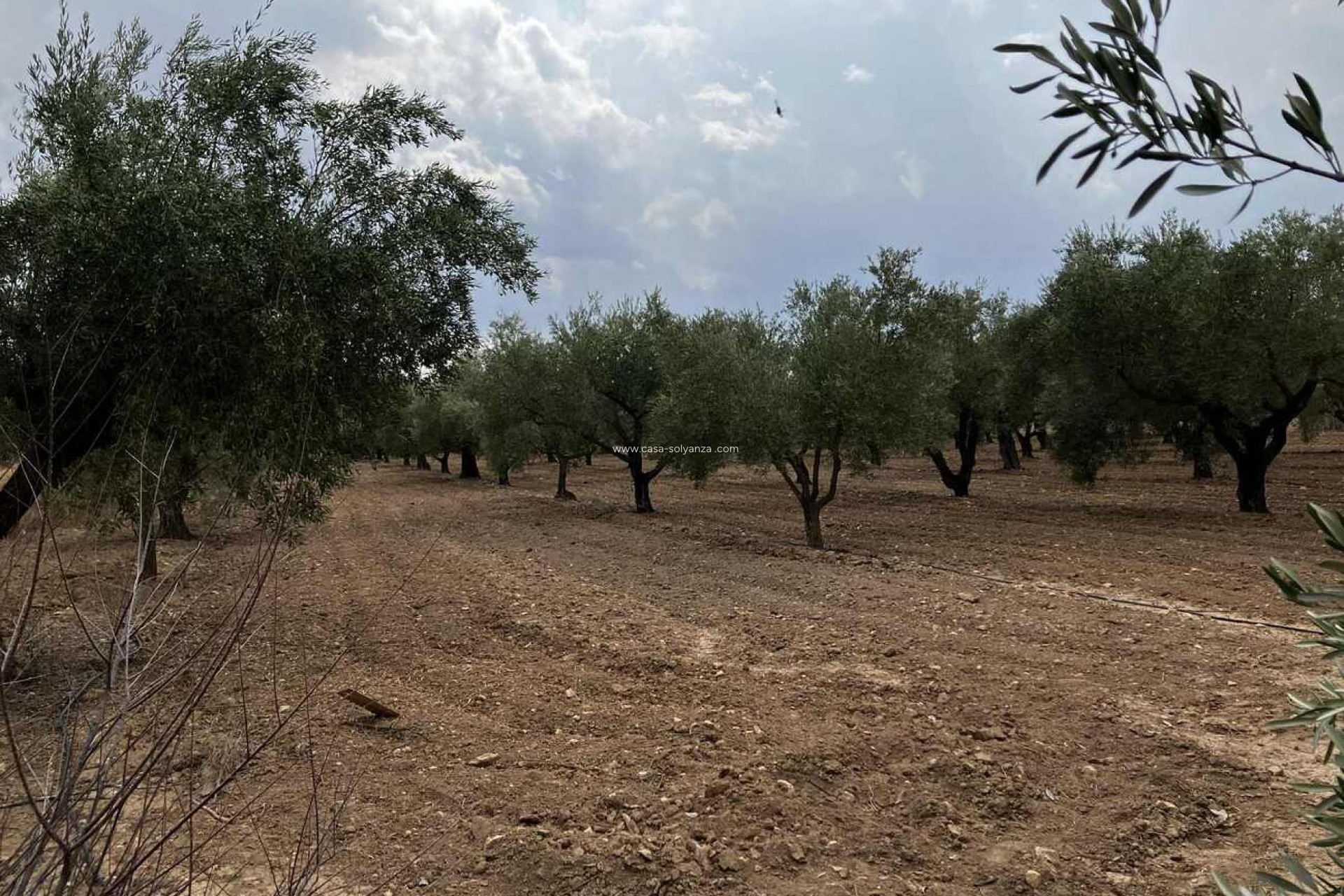 Reventa - Villa - Biar - Costa Blanca