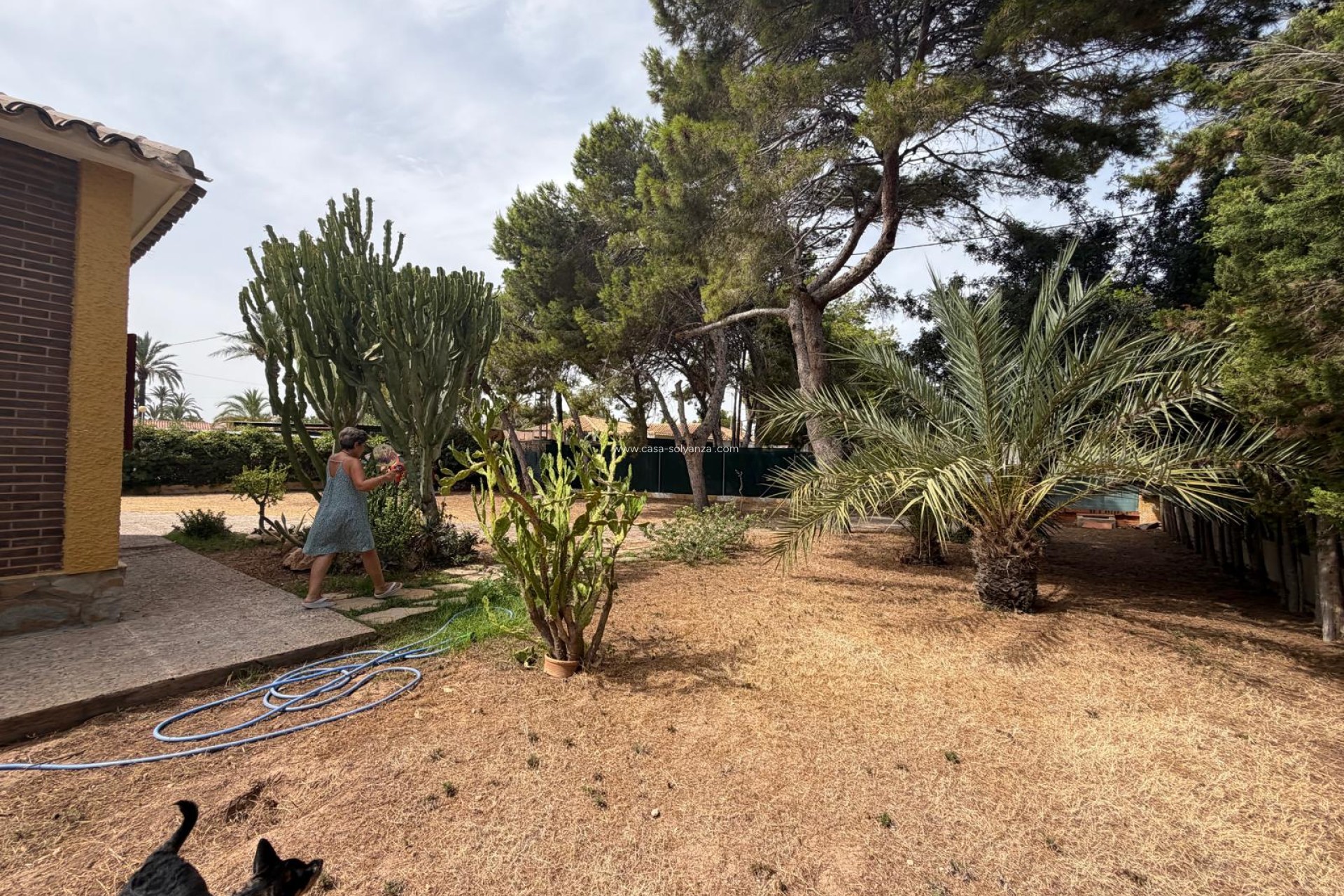 Reventa - Villa - Cabo Roig - Orihuela Costa