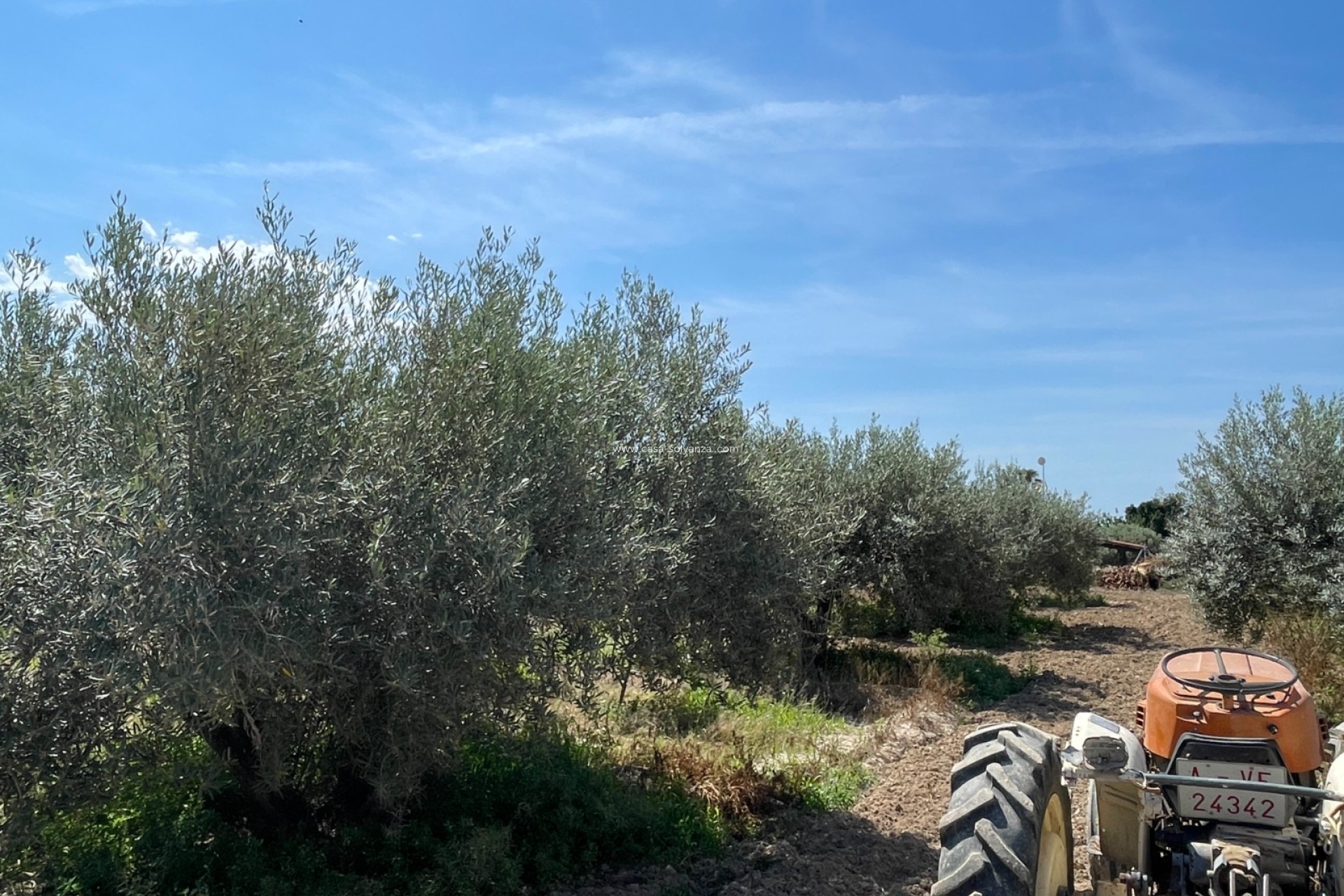 Reventa - Villa - Crevillente - Inland