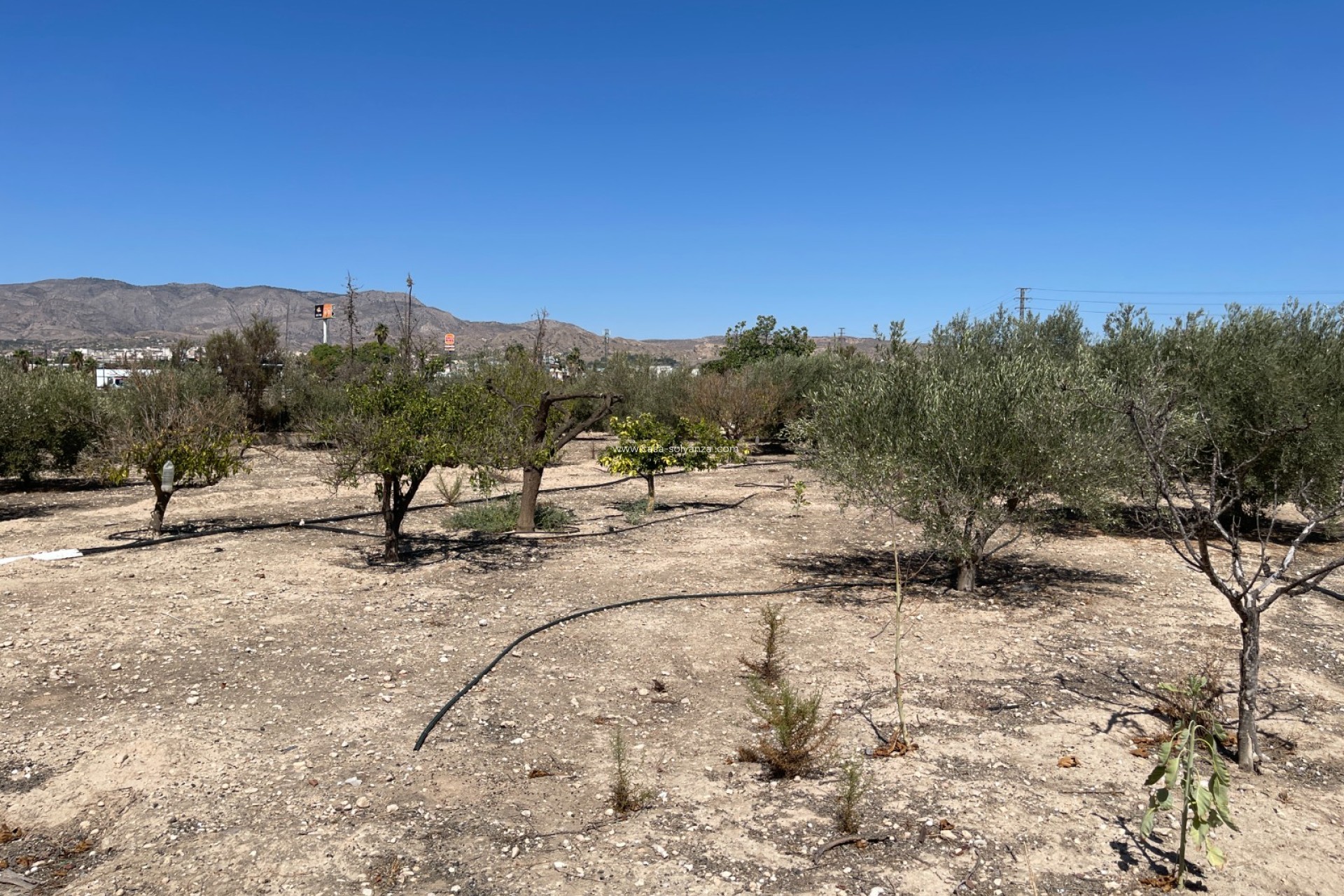 Reventa - Villa - Crevillente - Inland