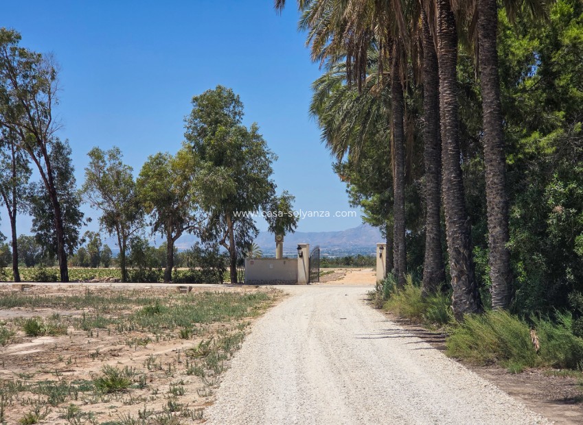 Reventa - Villa - Elche - Costa Blanca