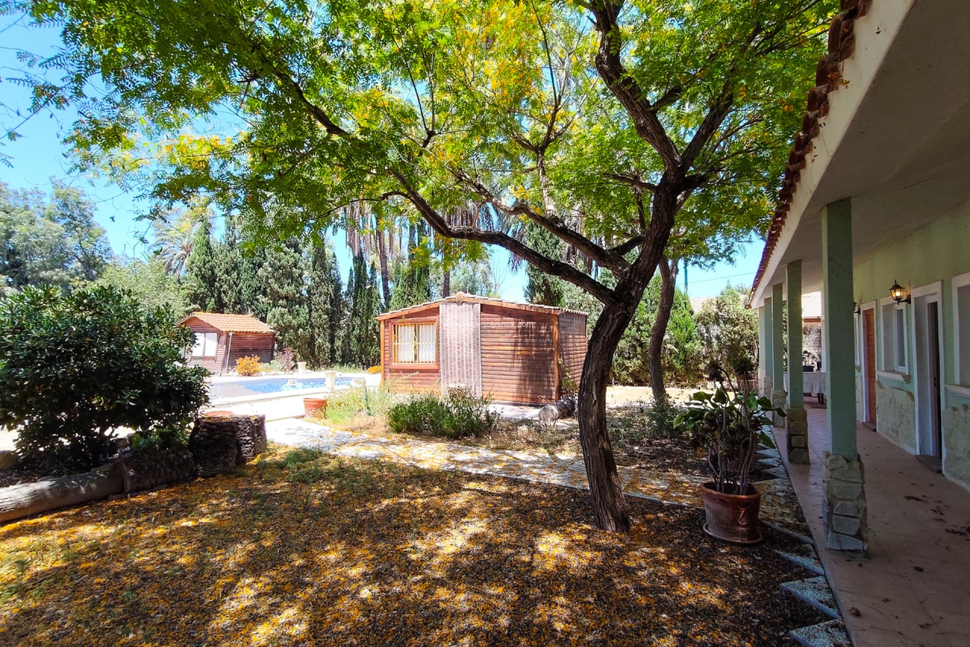 Reventa - Villa - Elche - Costa Blanca