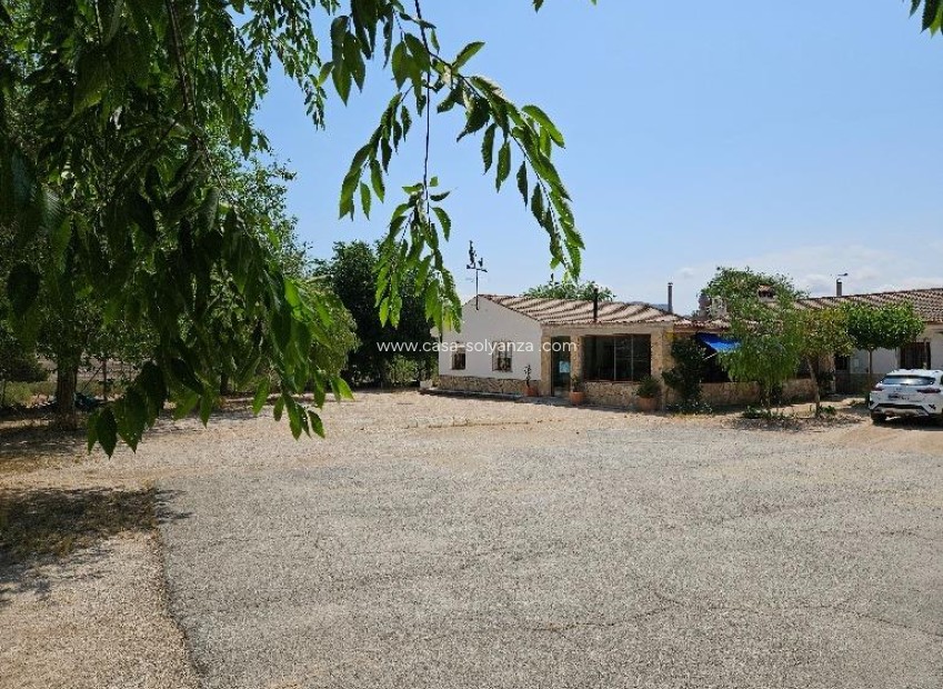 Reventa - Villa - Elda - 03600