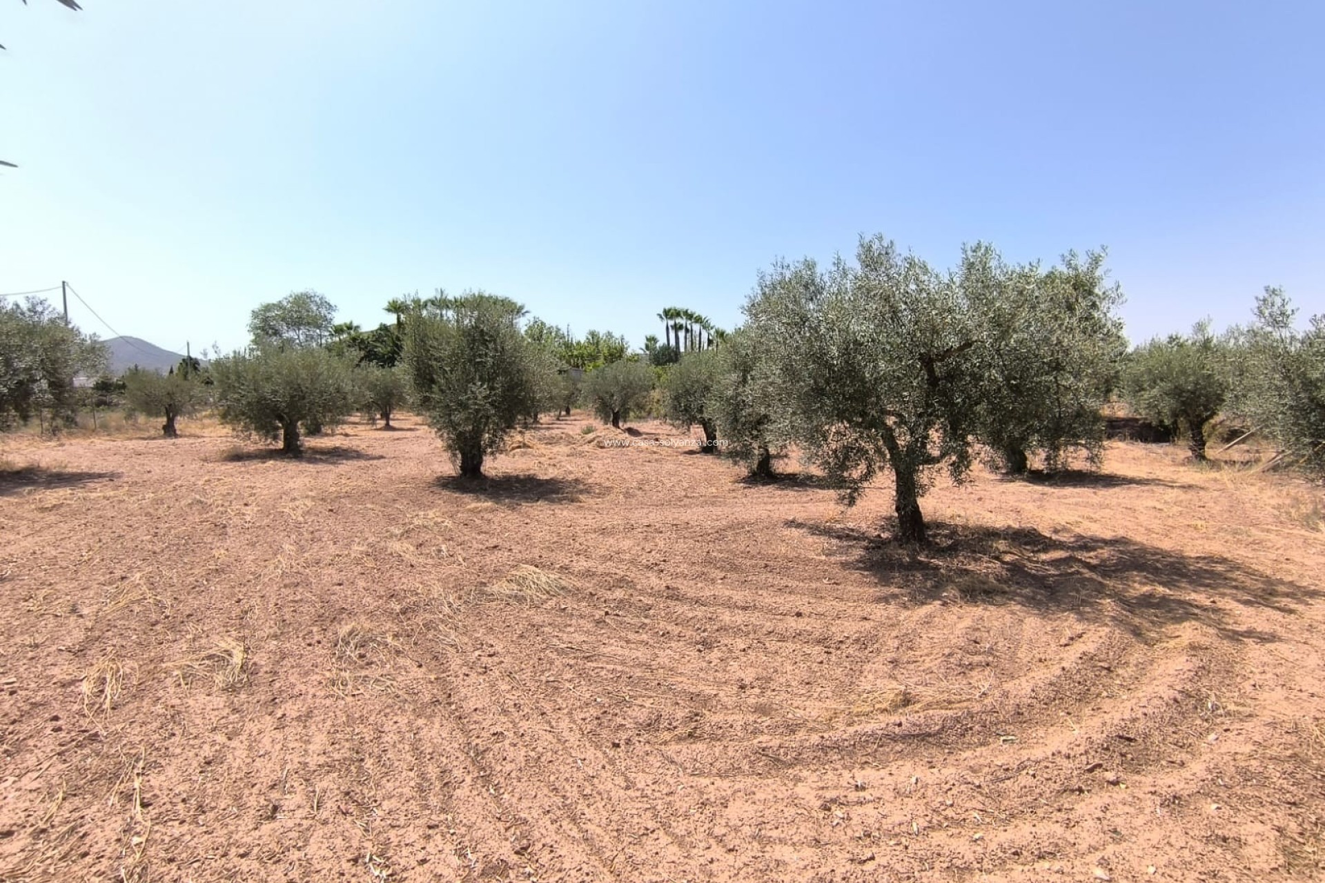 Reventa - Villa - Jumilla - Inland