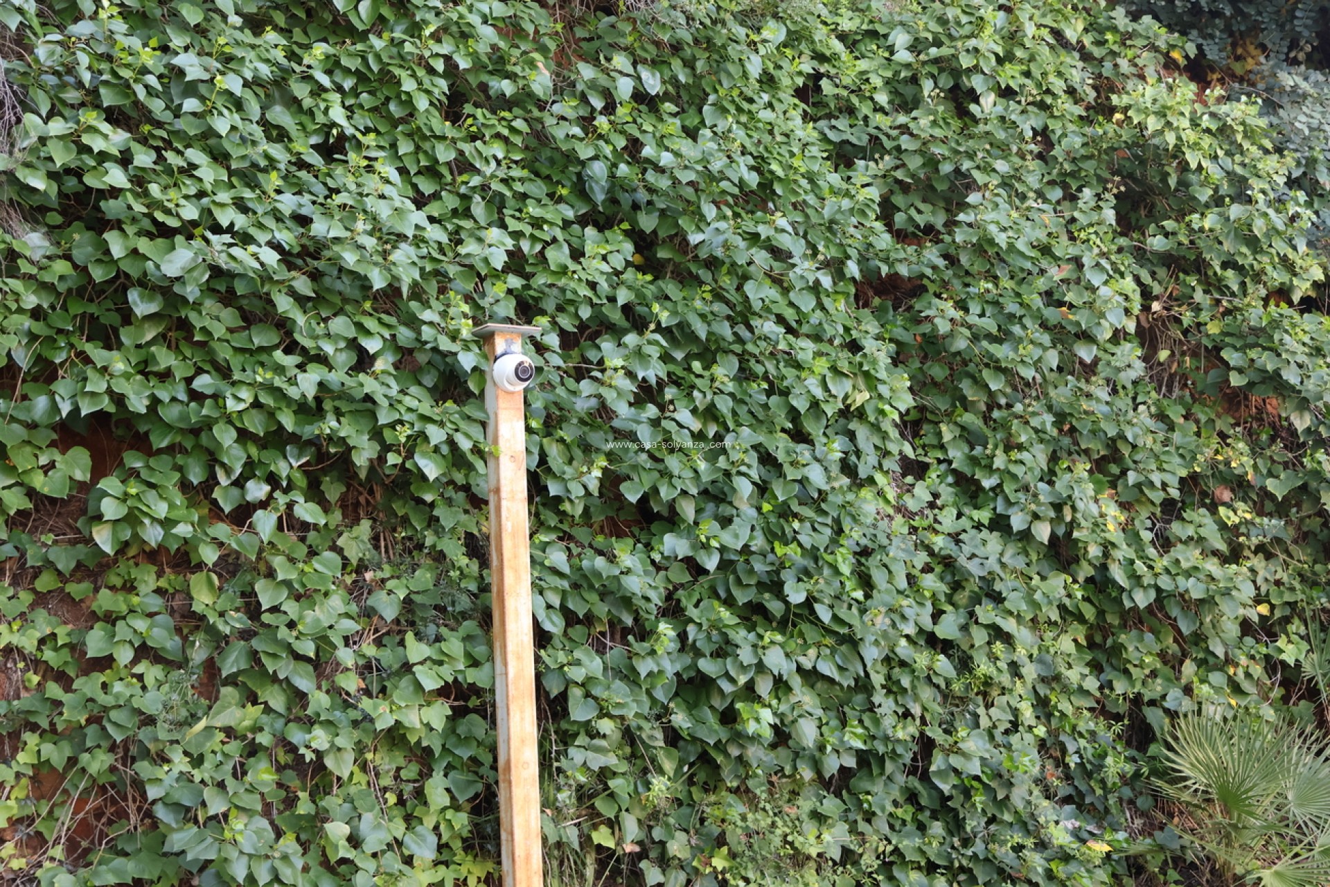 Reventa - Villa - La Sella Golf - Inland