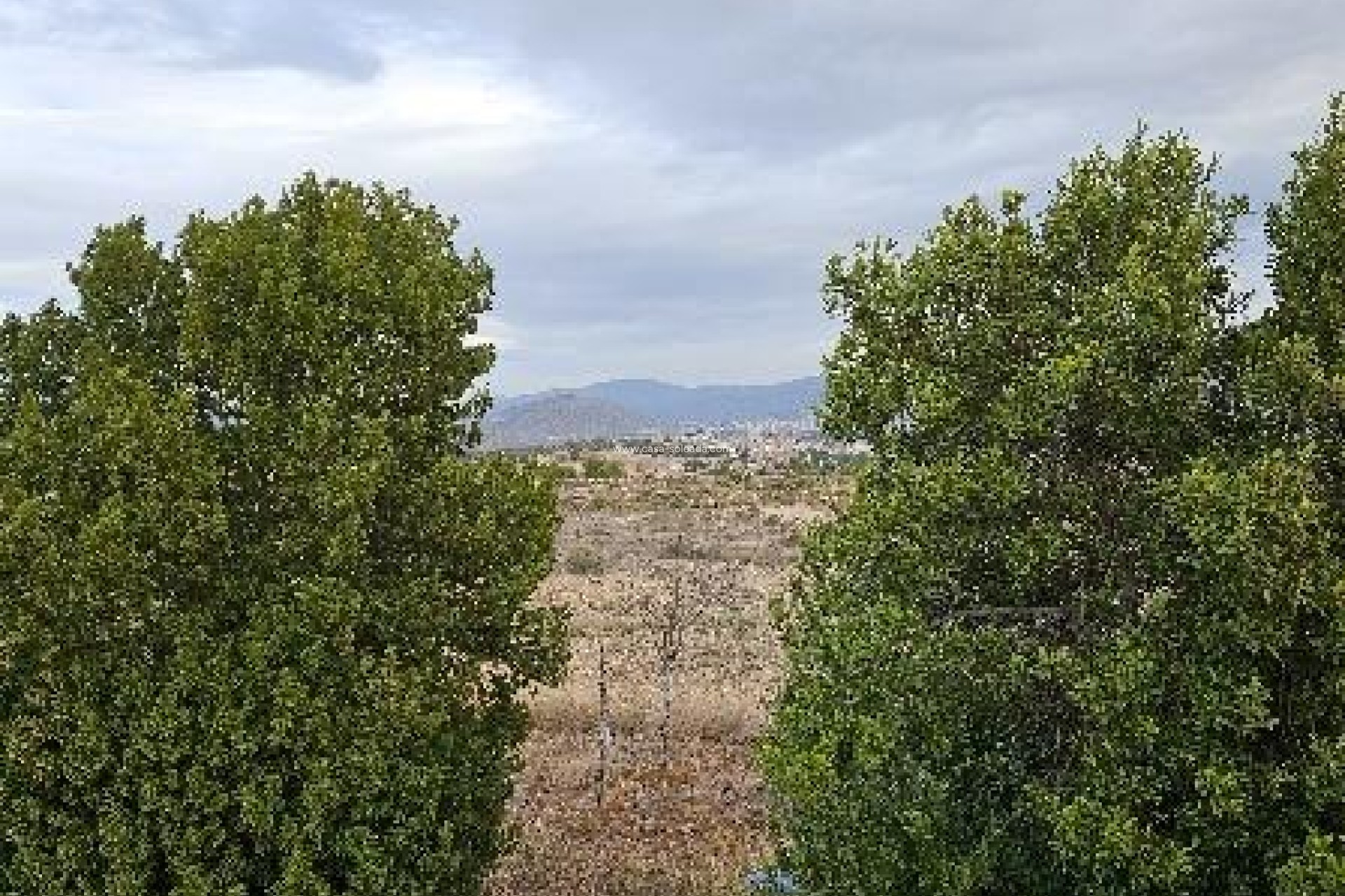 Reventa - Villa - Monóvar - 03640