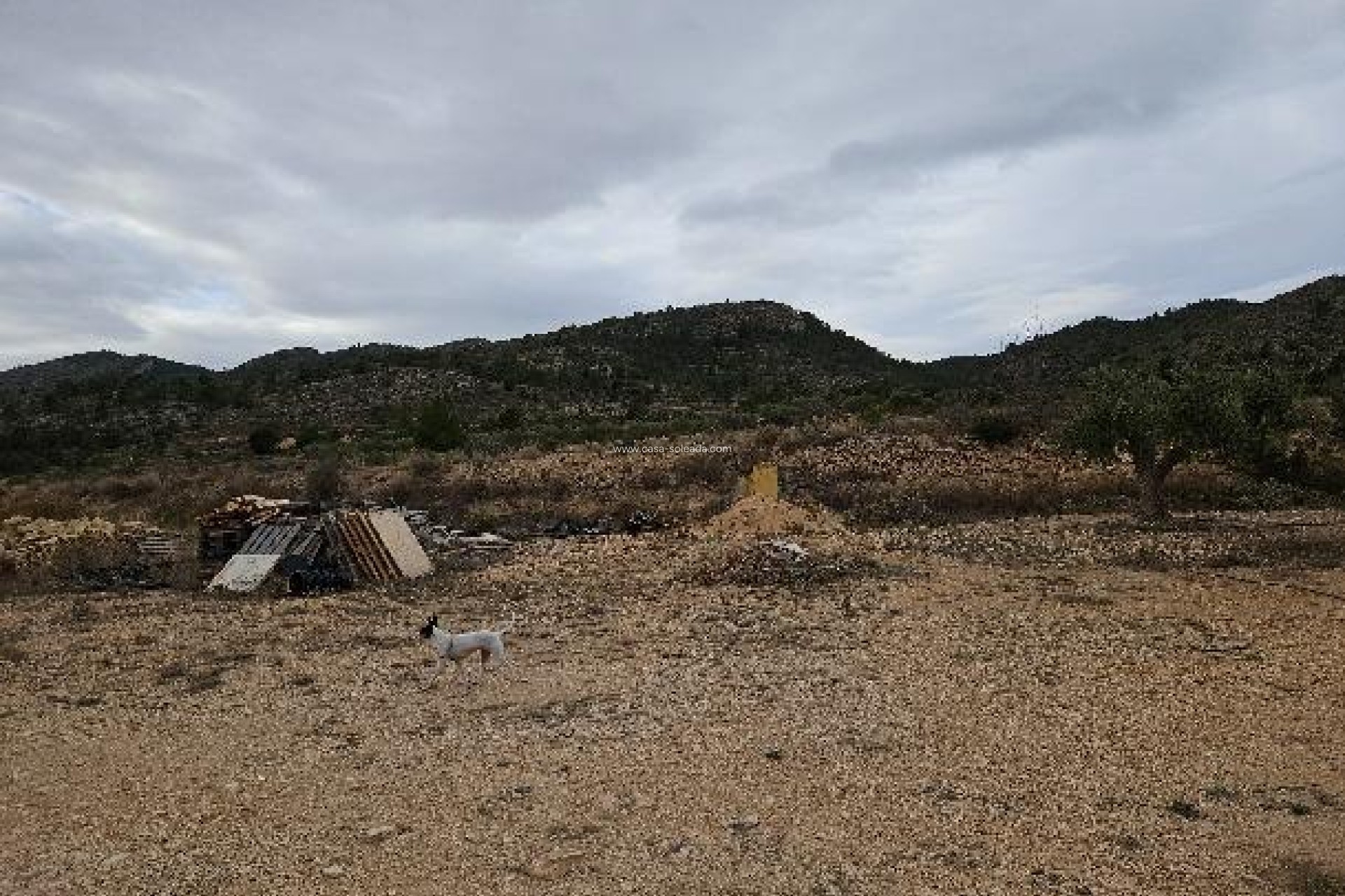 Reventa - Villa - Monóvar - 03640