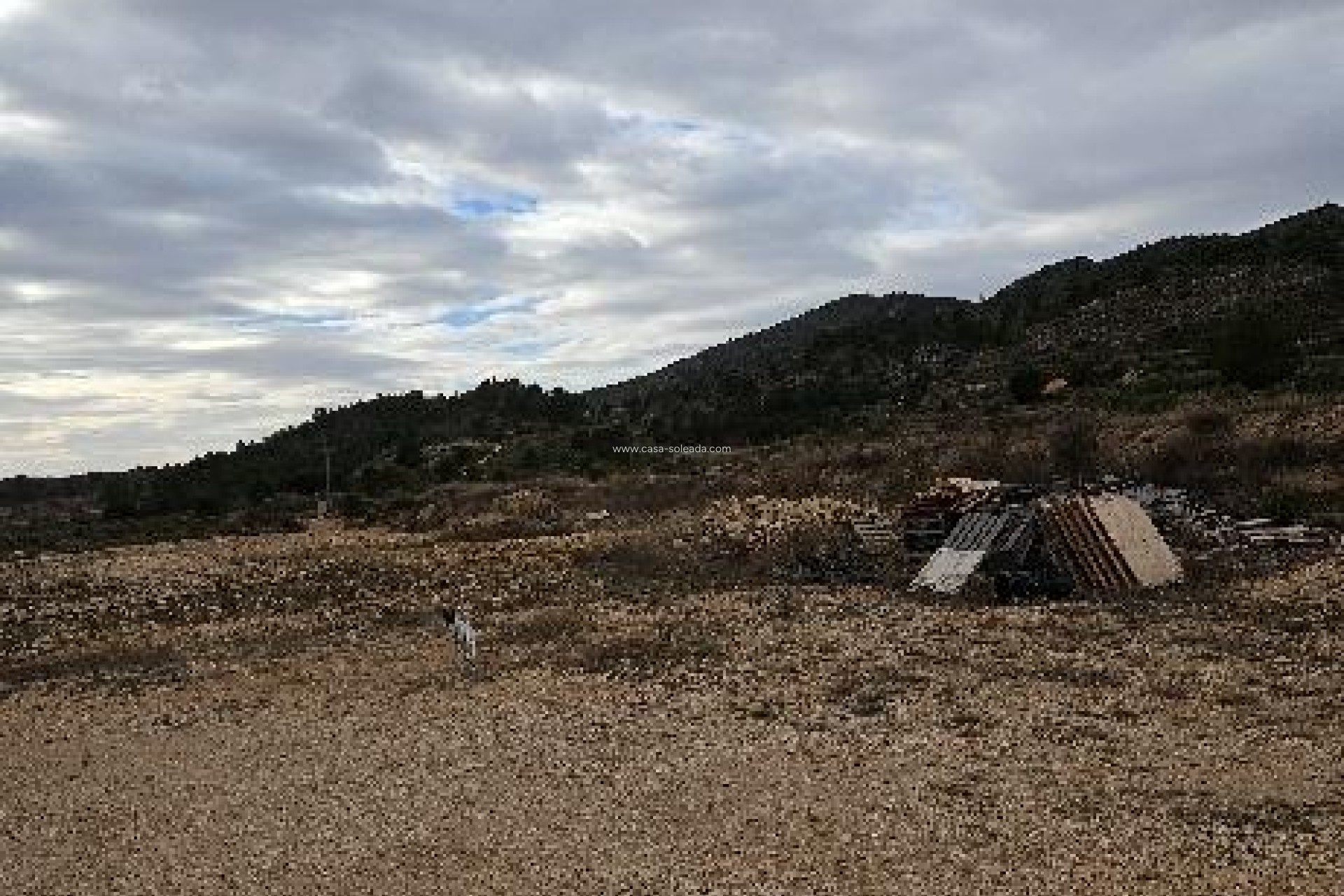 Reventa - Villa - Monóvar - 03640