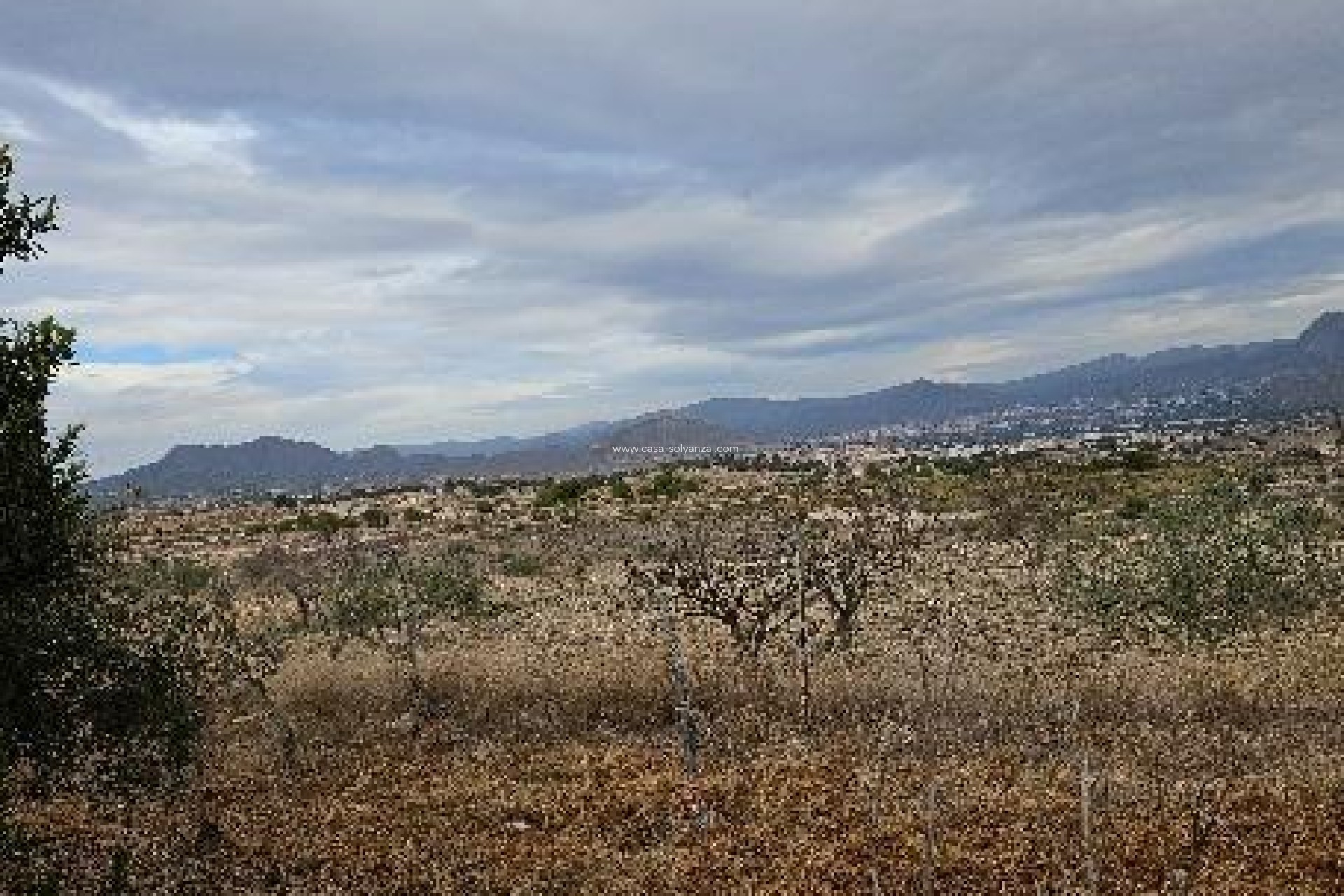 Reventa - Villa - Monóvar - 03640