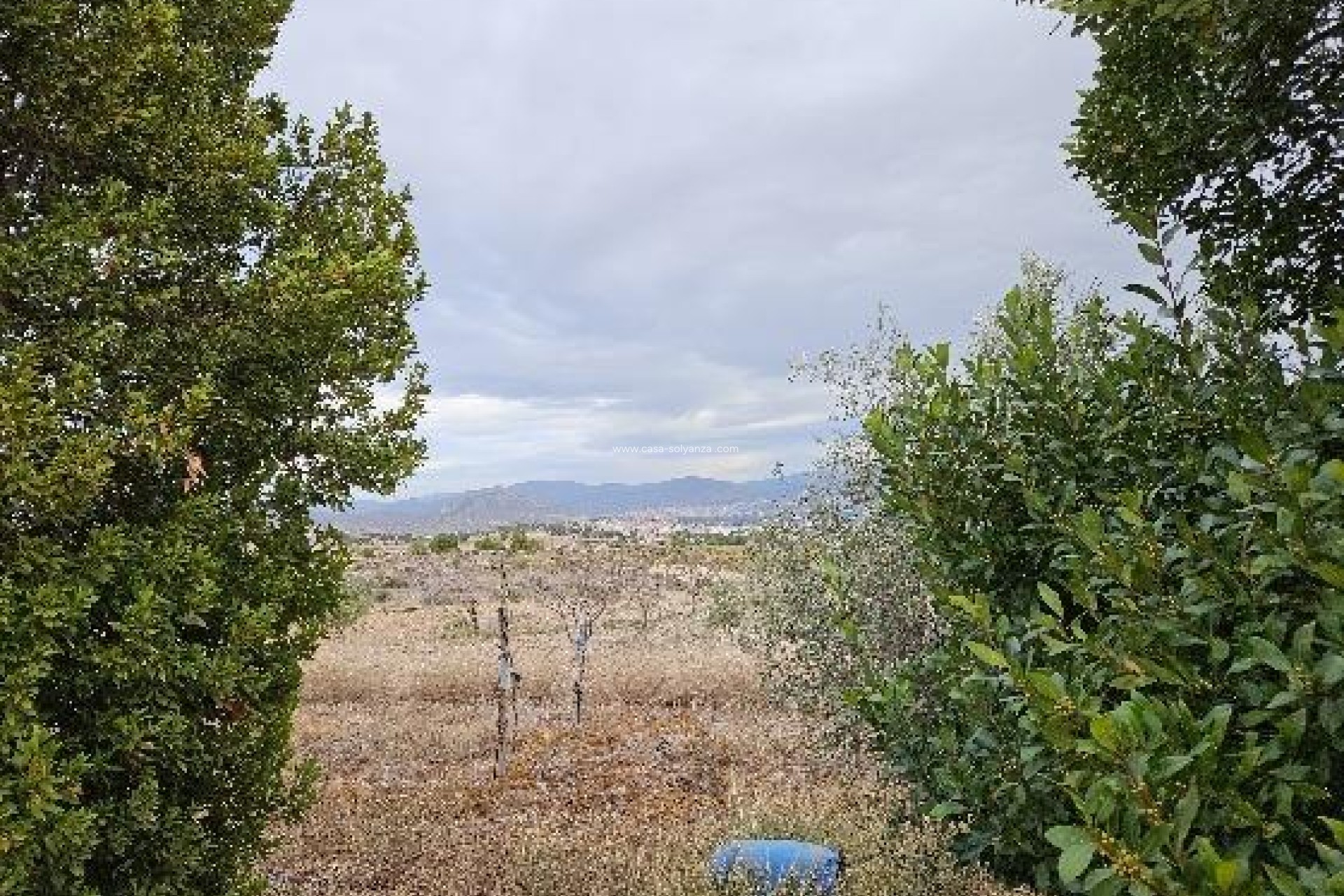 Reventa - Villa - Monóvar - 03640