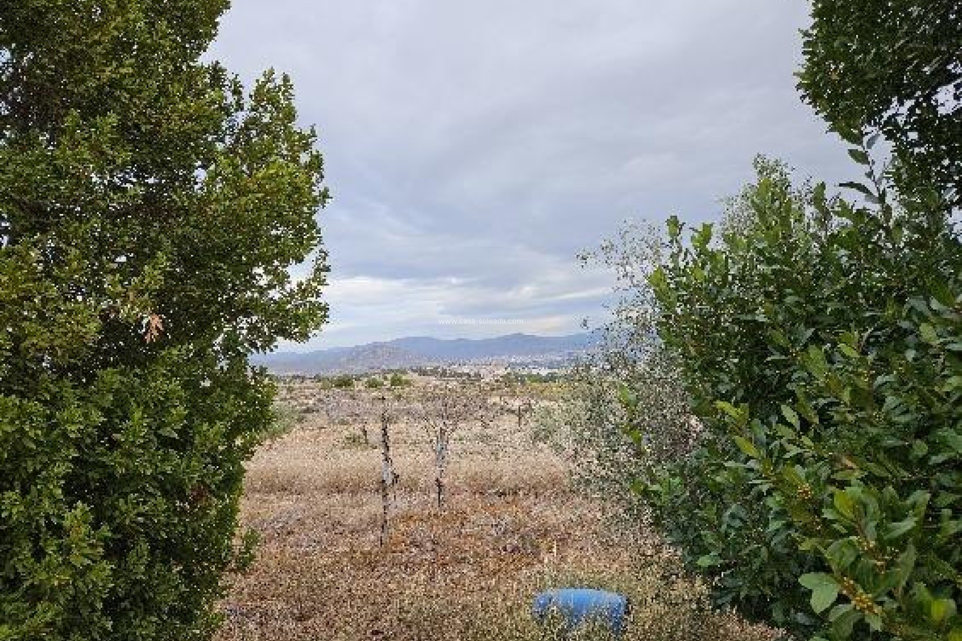 Reventa - Villa - Monóvar - 03640
