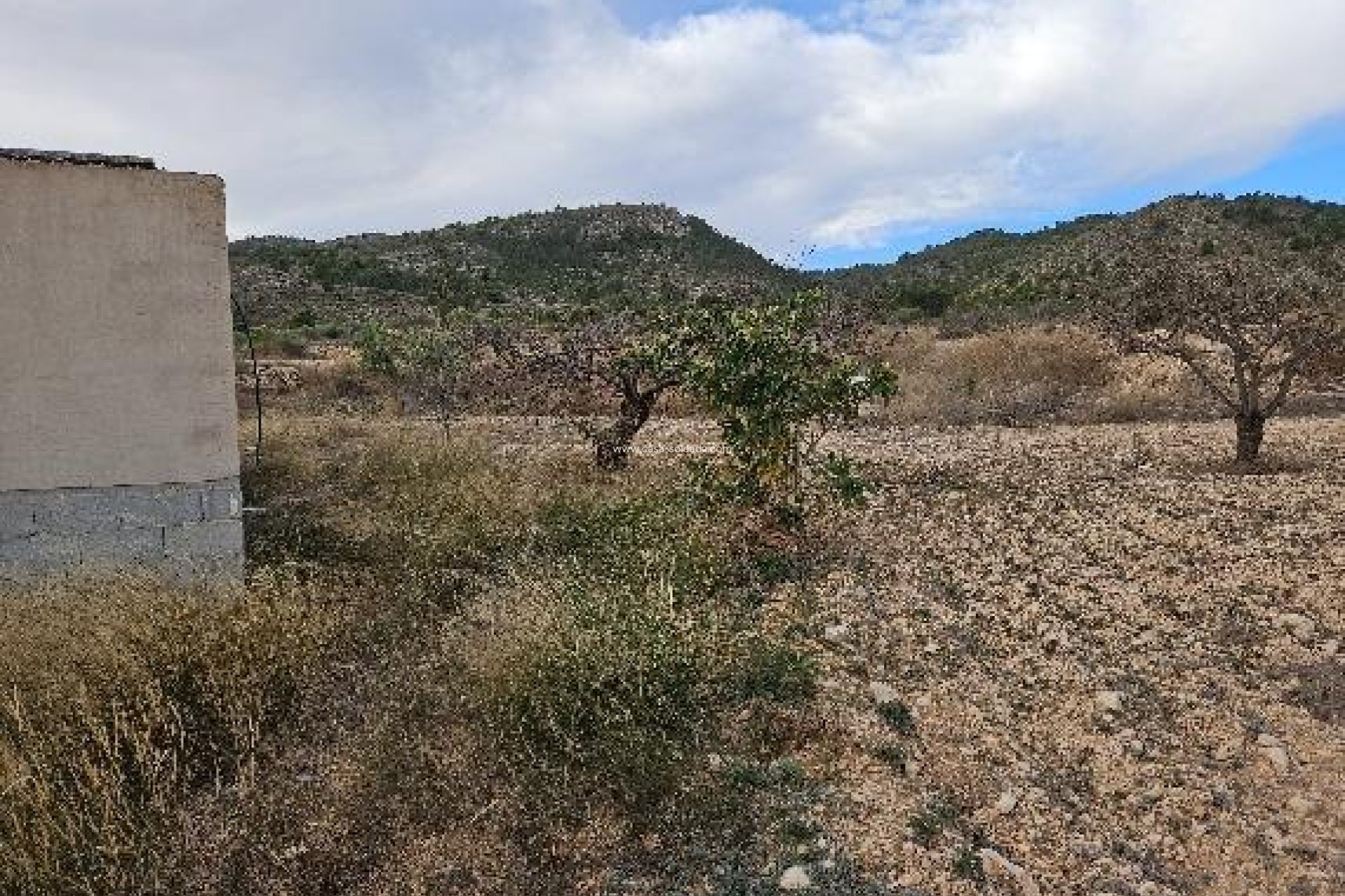 Reventa - Villa - Monóvar - 03640