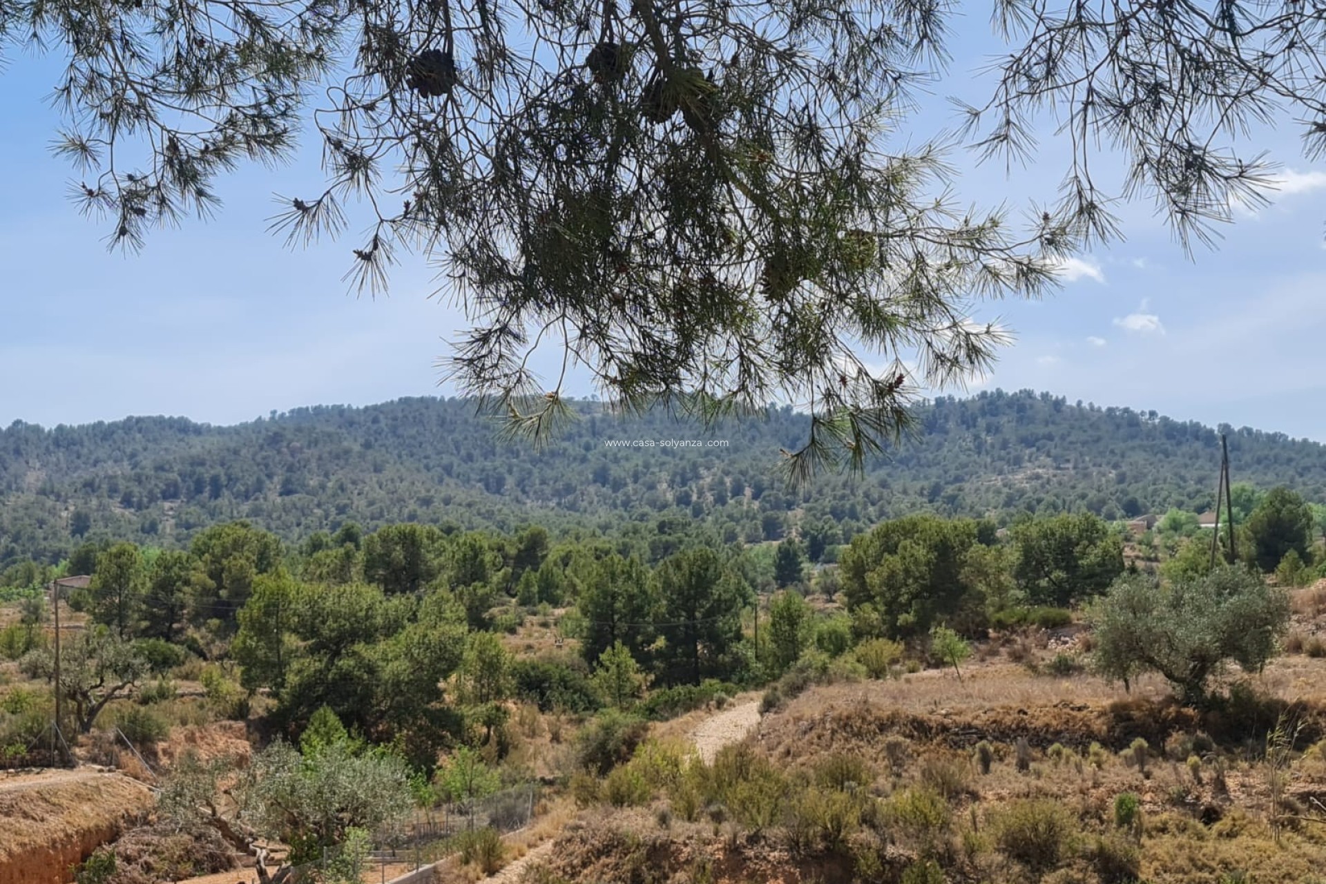 Reventa - Villa - Monóvar - Inland