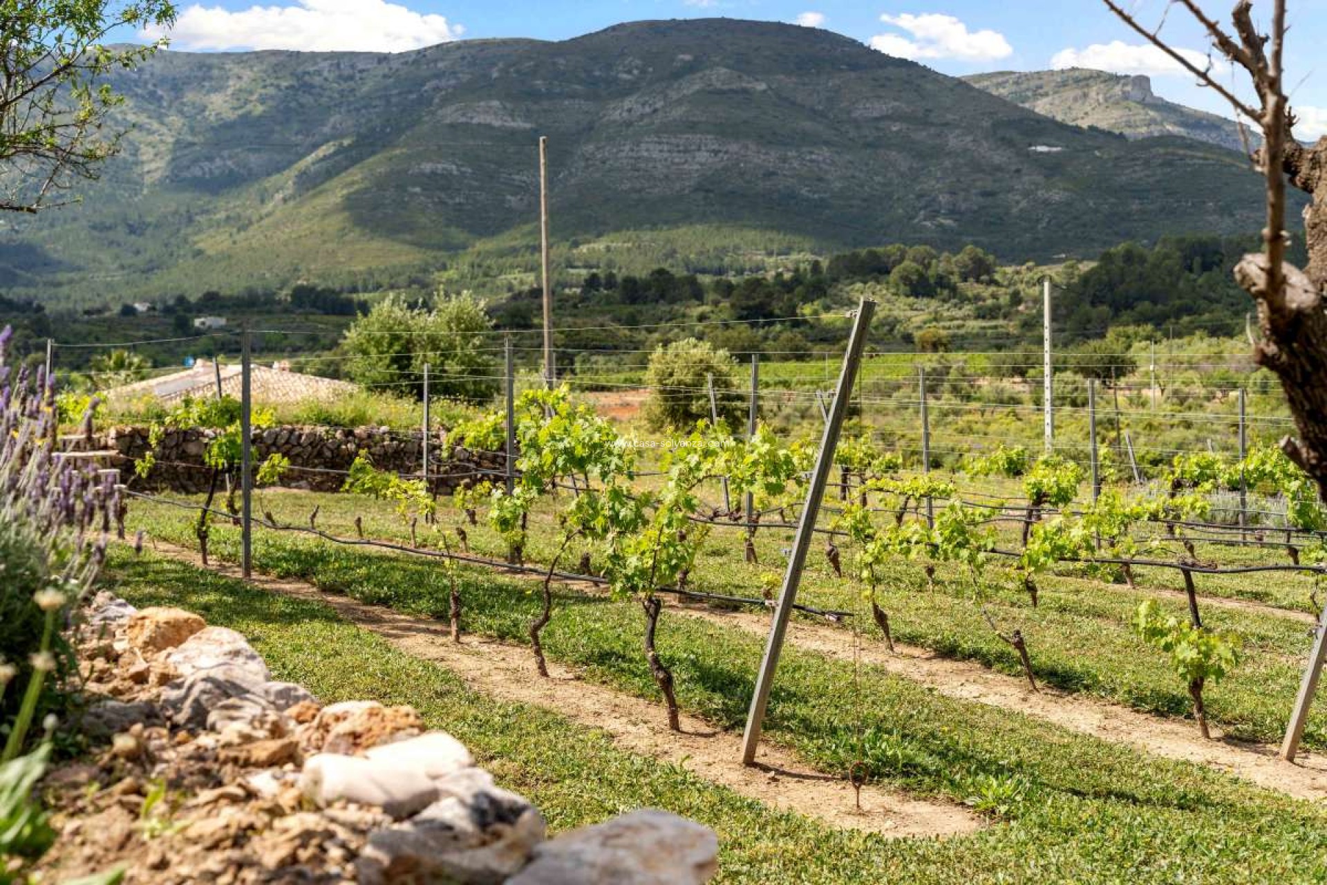 Reventa - Villa - Murla - Inland