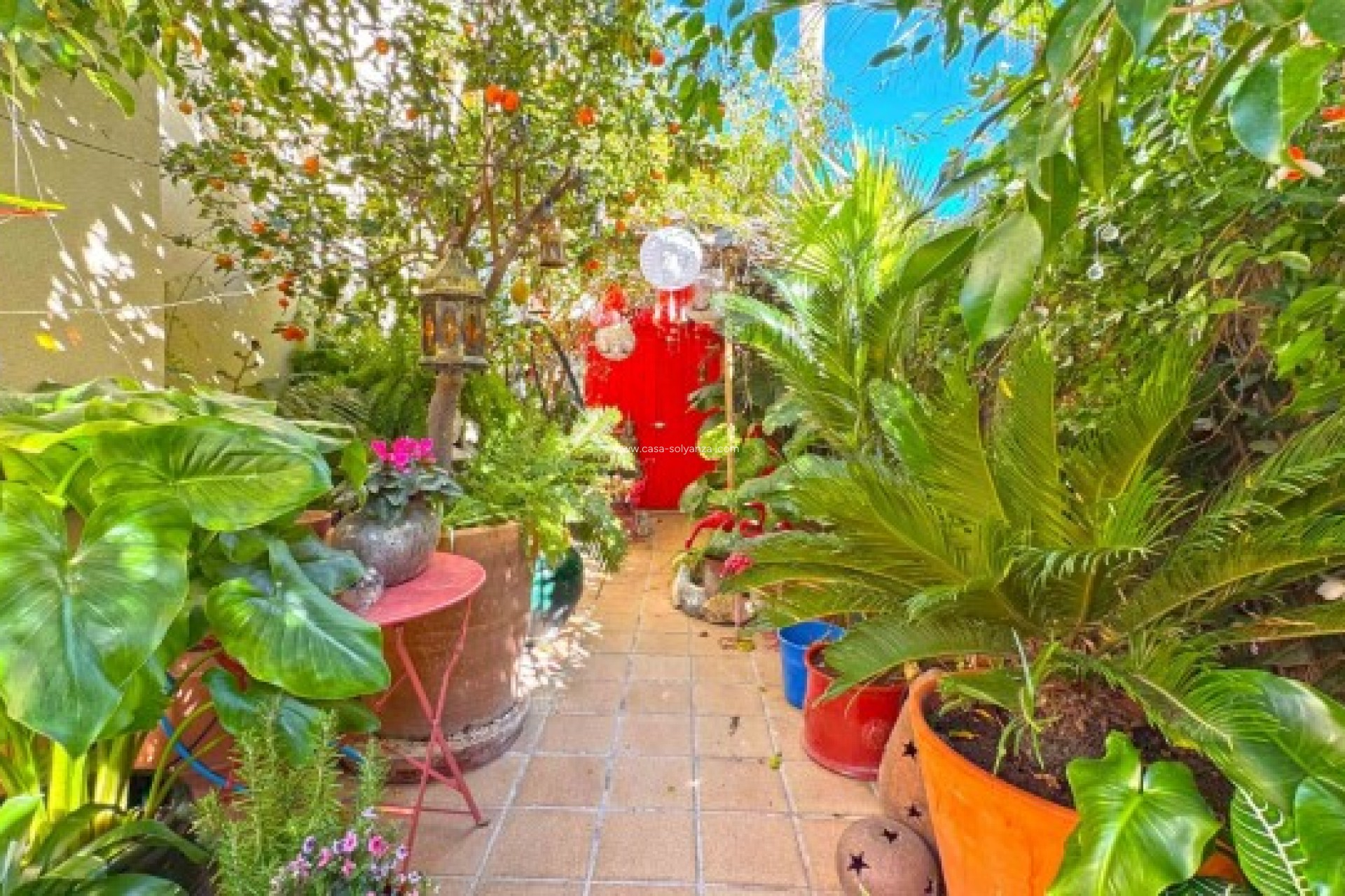 Reventa - Villa - Orihuela Costa - 0