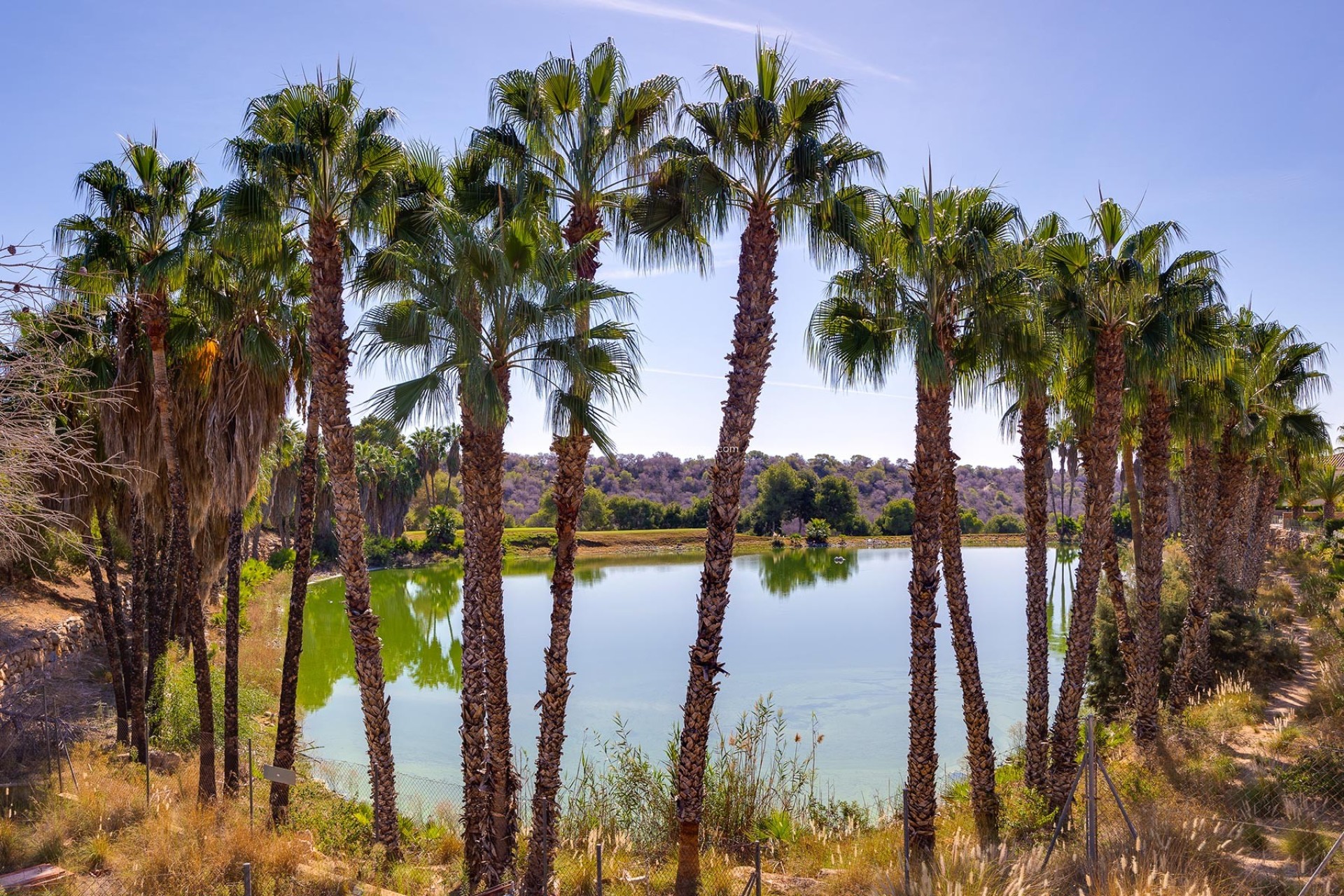 Reventa - Villa - Orihuela Costa - Costa Blanca