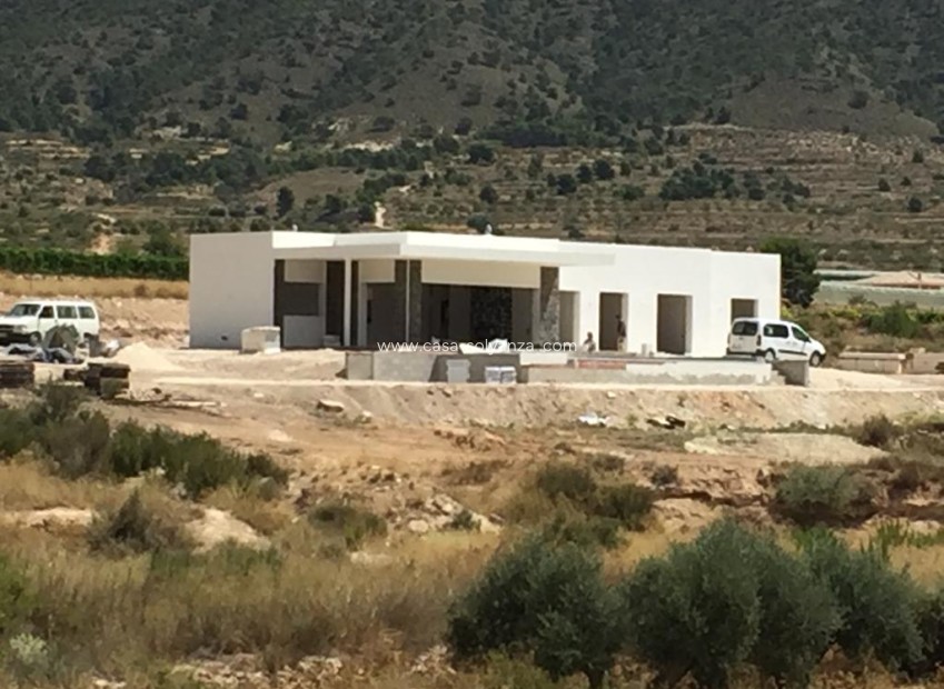 Reventa - Villa - Pinoso - Inland