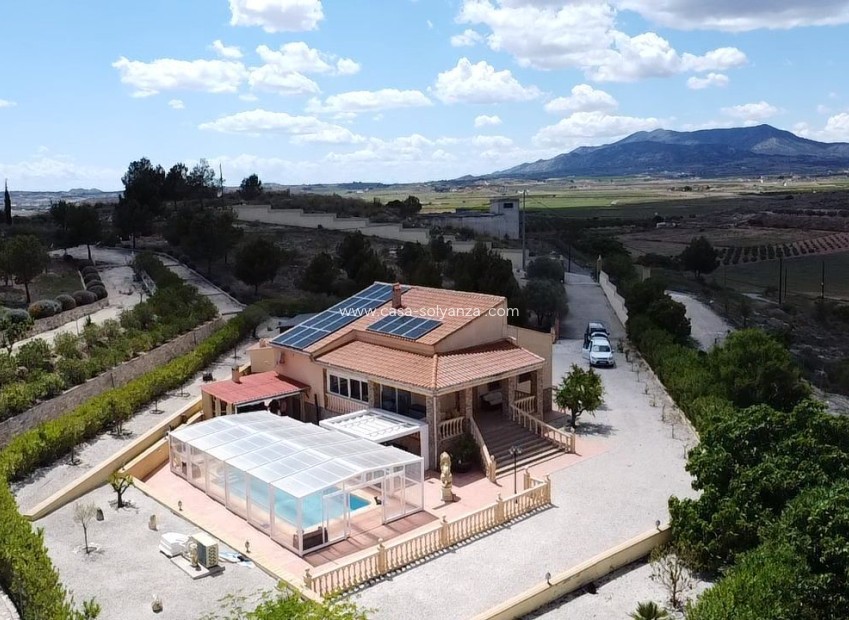 Reventa - Villa - Pinoso
