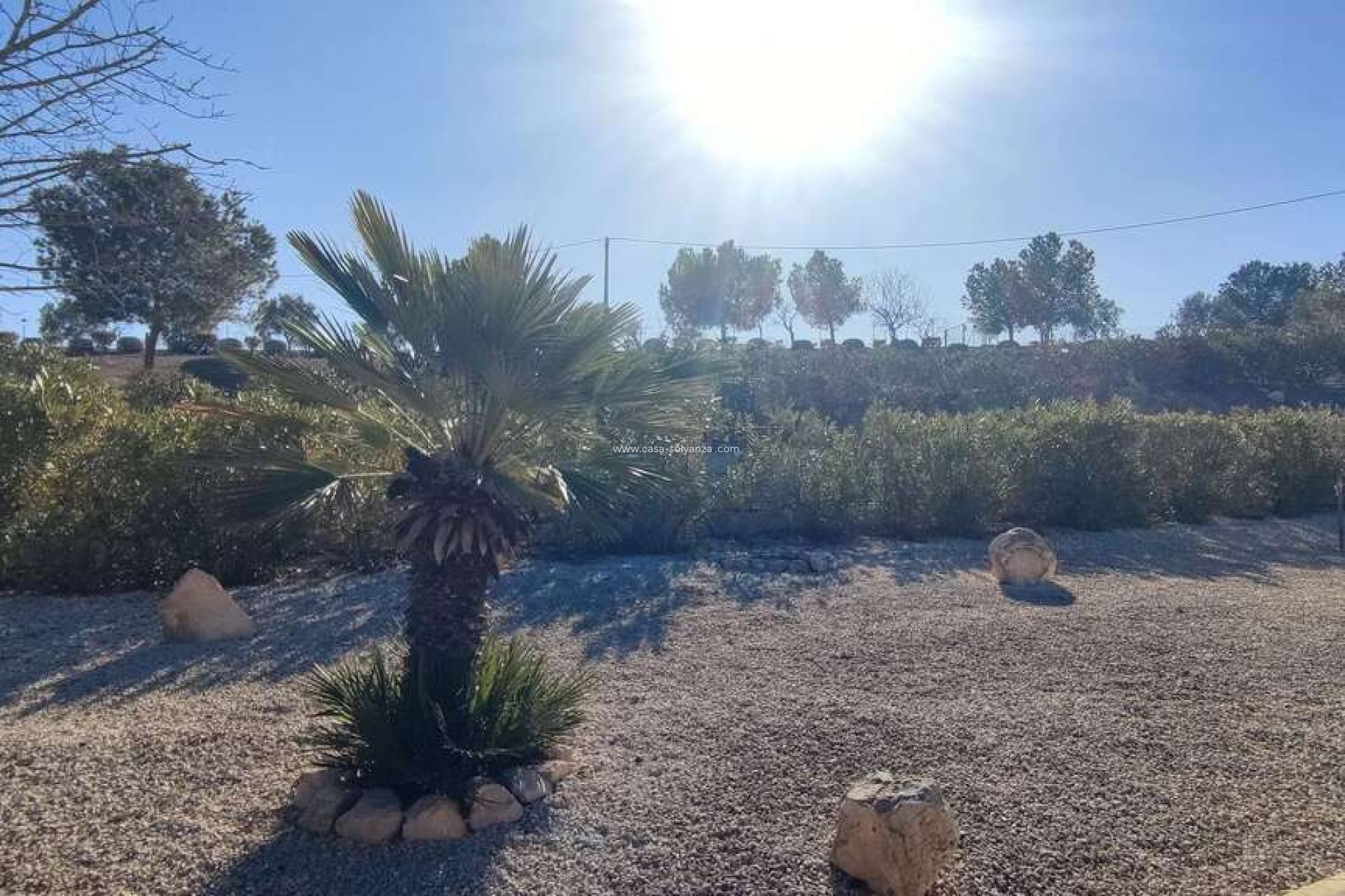 Reventa - Villa - Pinoso