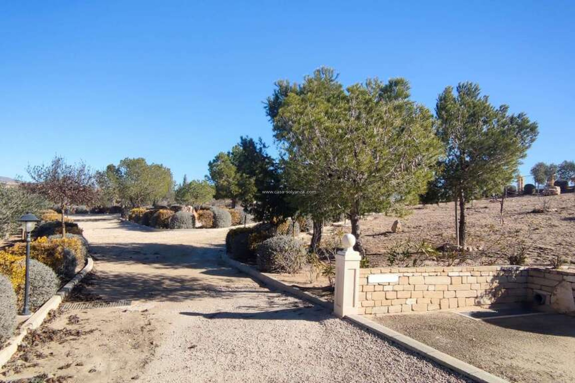 Reventa - Villa - Pinoso