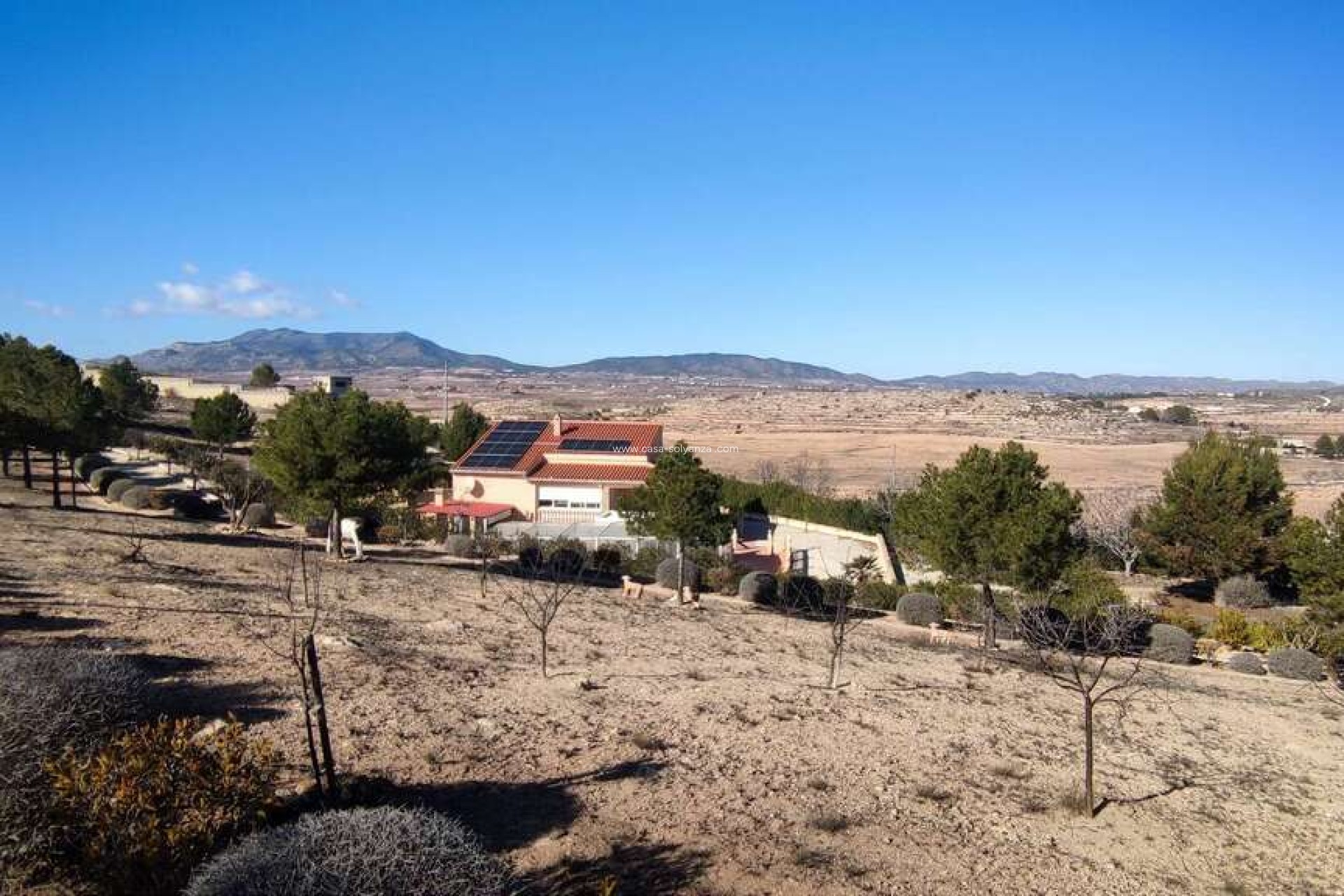 Reventa - Villa - Pinoso