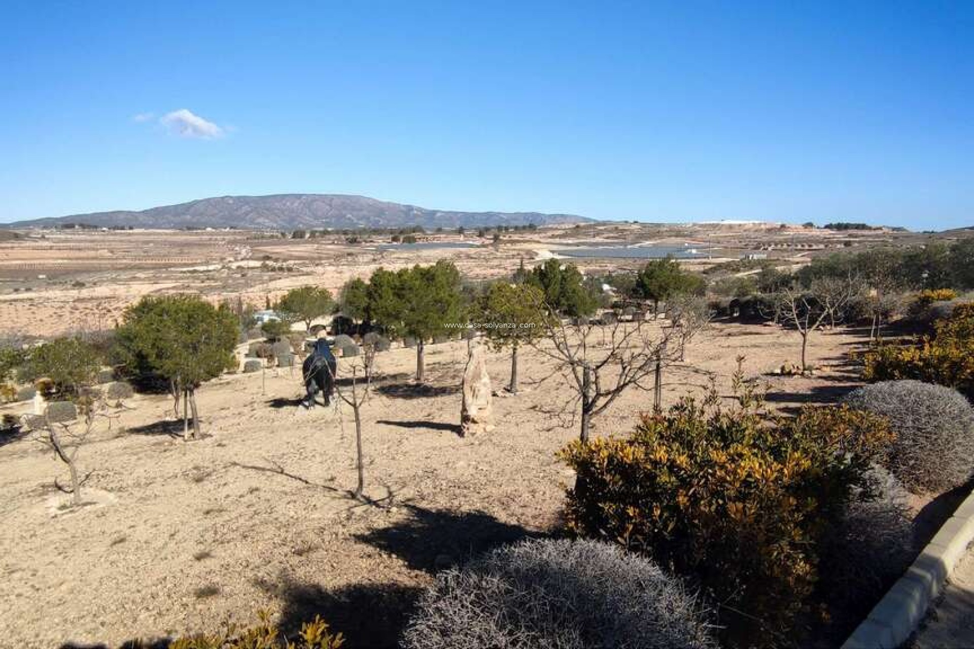 Reventa - Villa - Pinoso