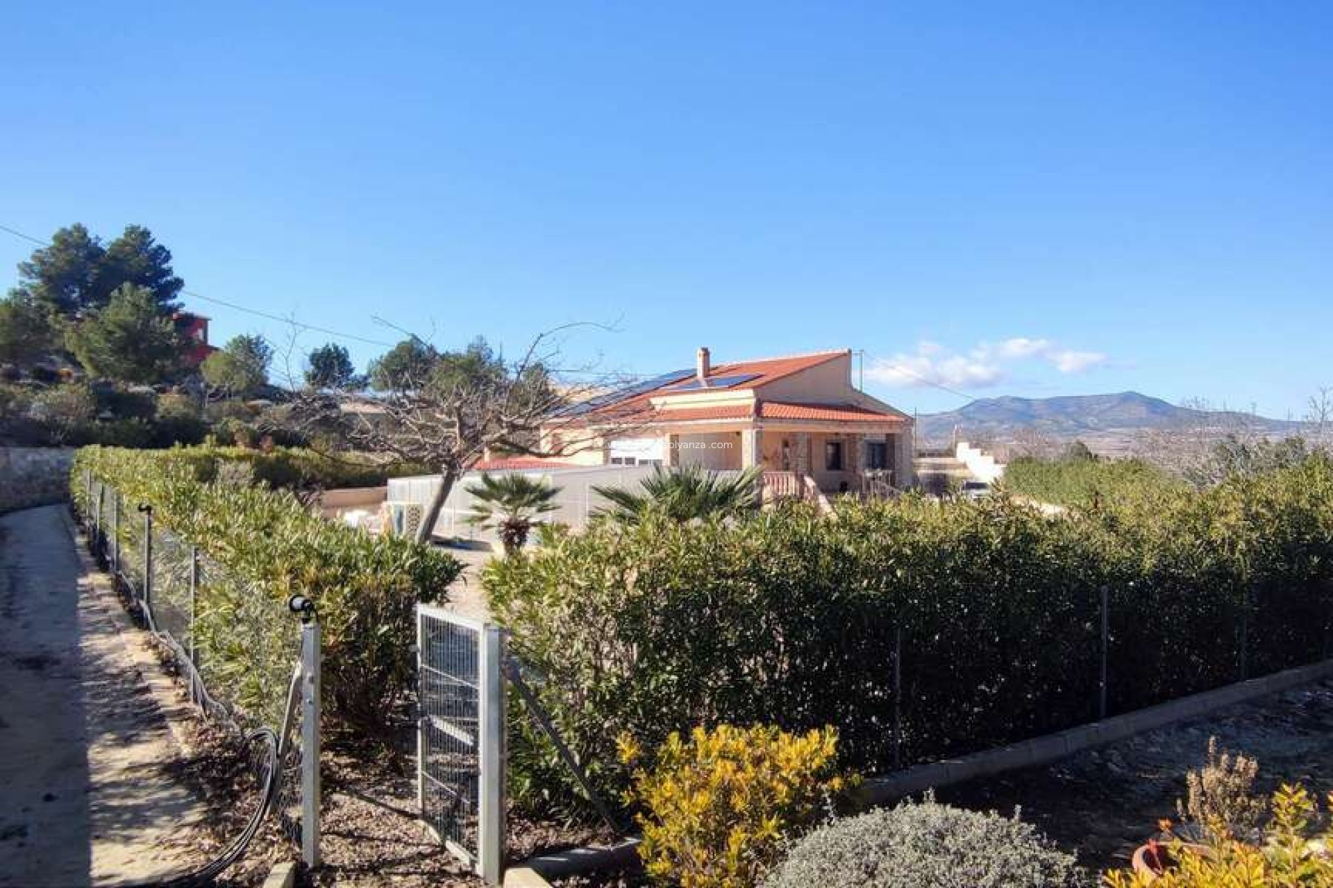Reventa - Villa - Pinoso