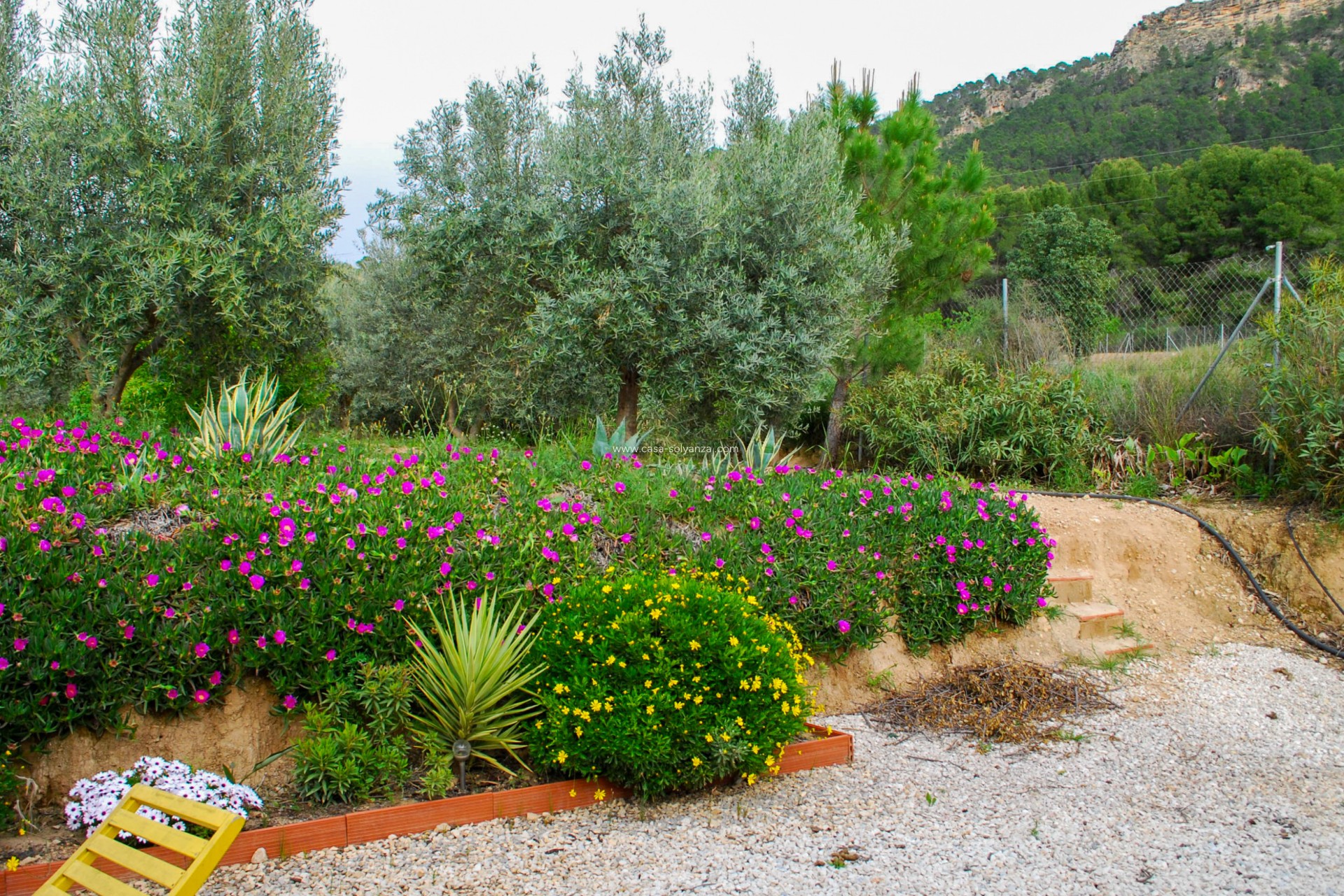 Reventa - Villa - Pliego - Inland