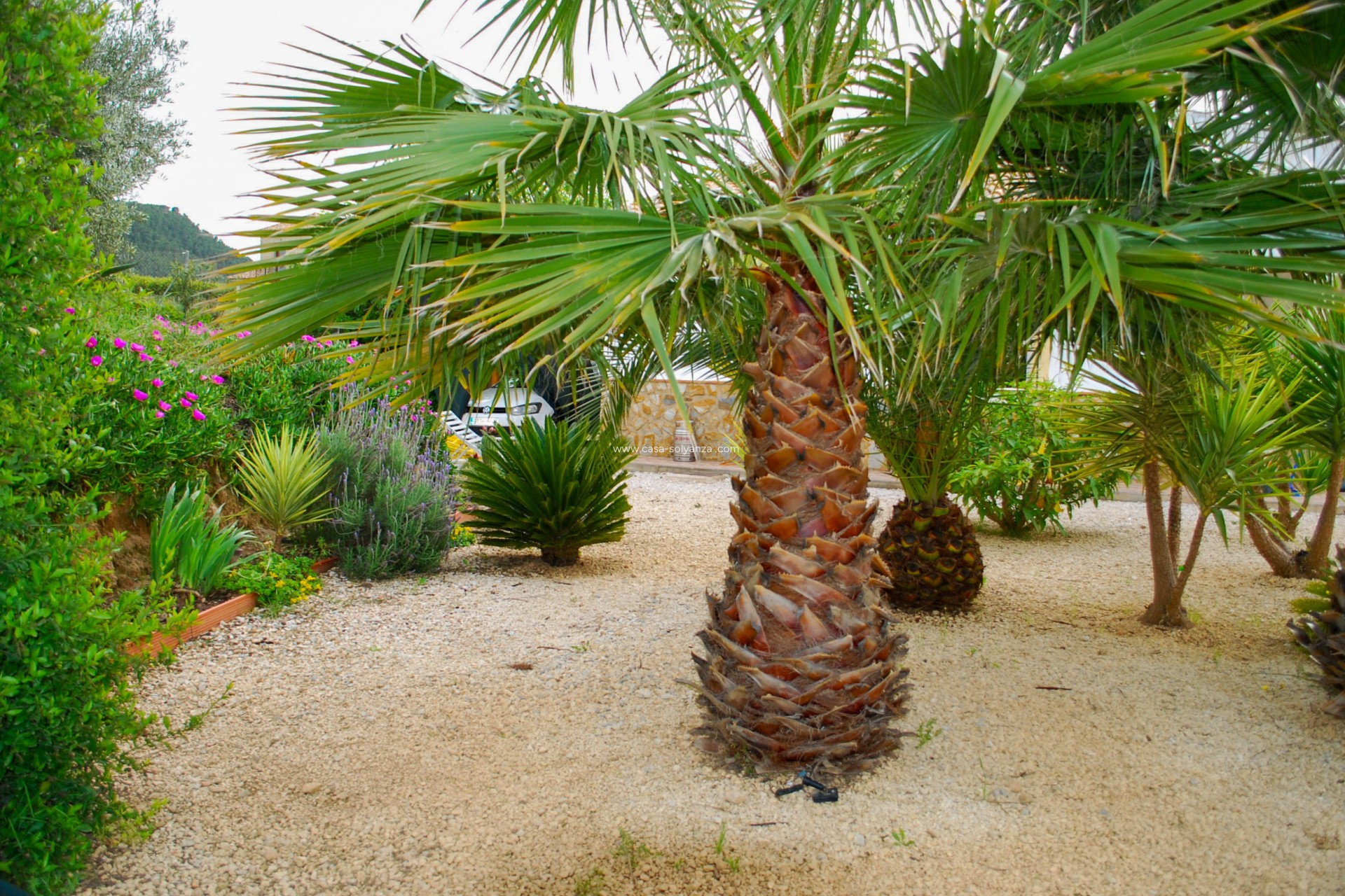 Reventa - Villa - Pliego - Inland