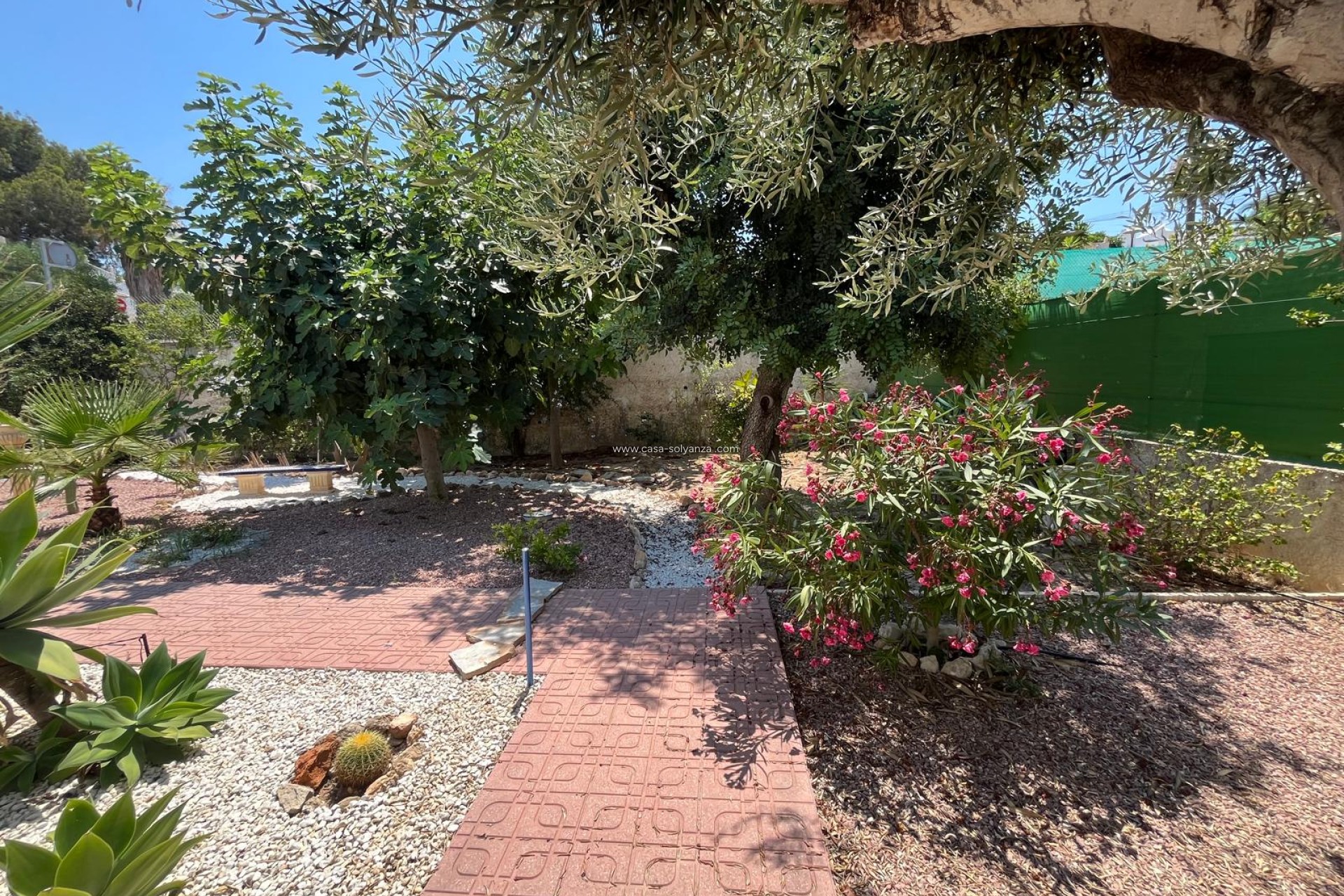 Reventa - Villa - San Miguel de Salinas - Blue Lagoon