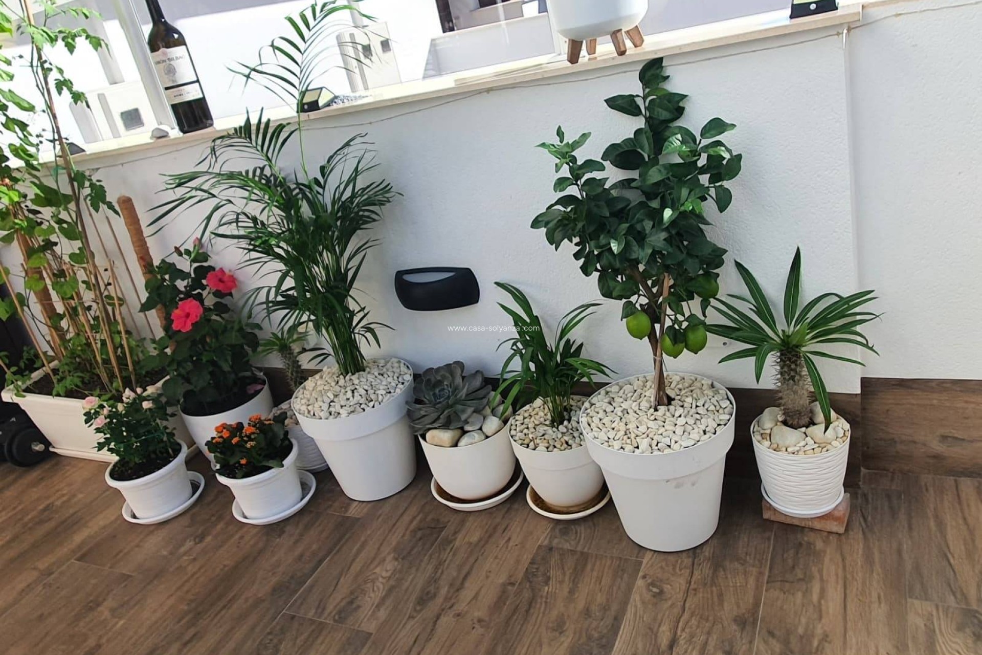 Reventa - Villa - San Pedro del Pinatar - Centro