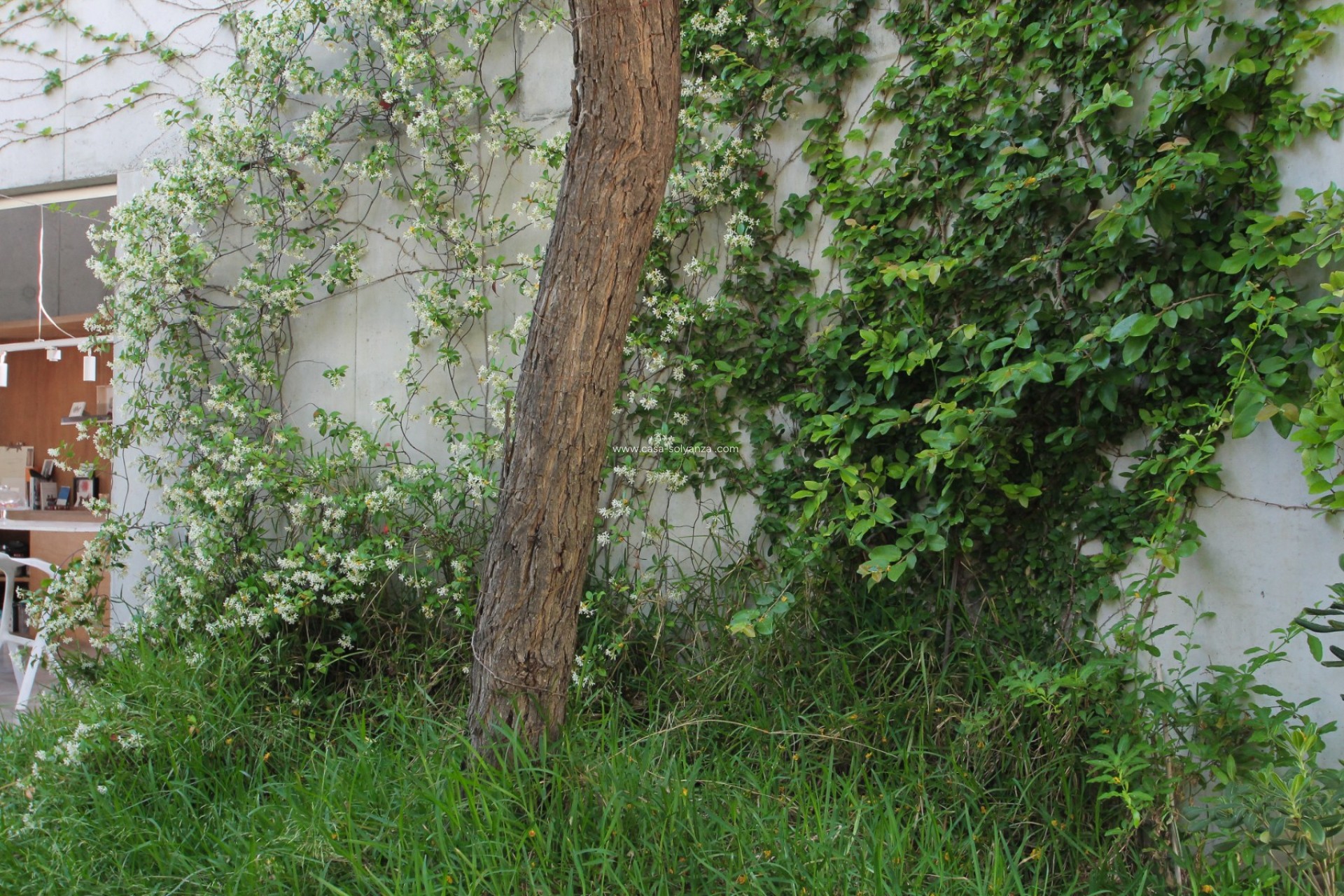 Reventa - Villa - San Vicente del Raspeig - Inland