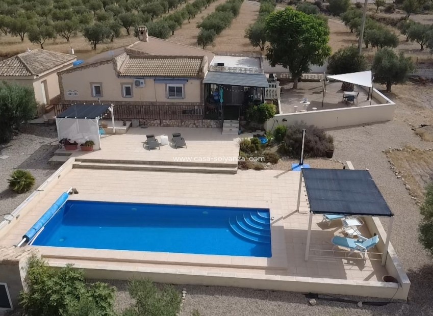 Reventa - Villa - Sax