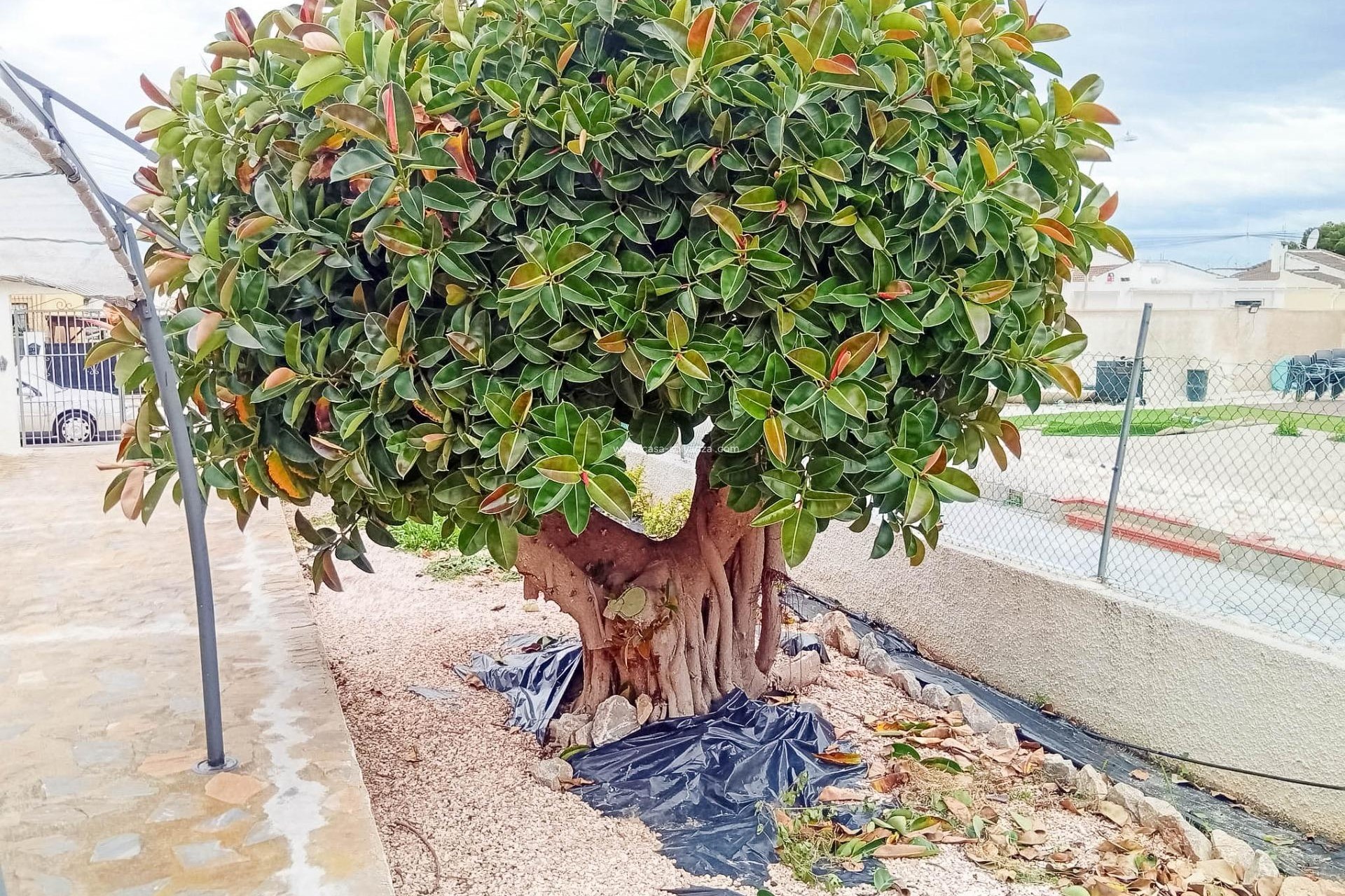 Reventa - Villa - Torrevieja - La Siesta