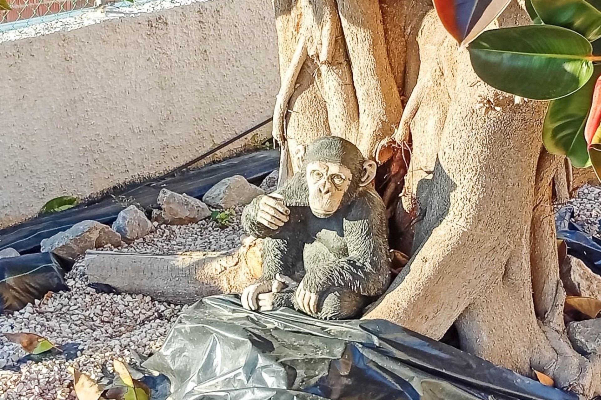 Reventa - Villa - Torrevieja - La Siesta