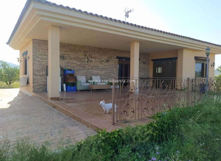 Reventa - Villa - Yecla - Inland
