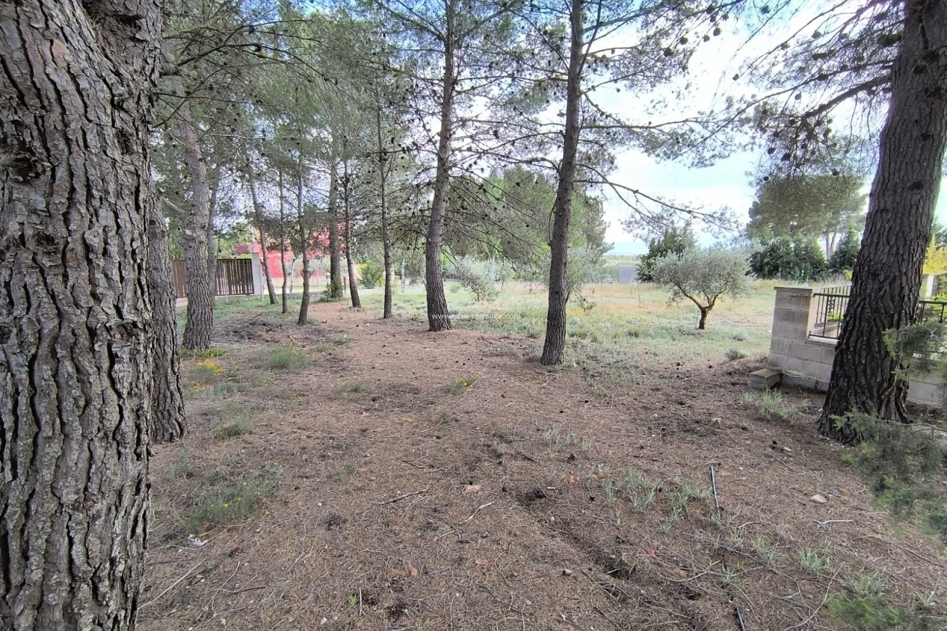 Reventa - Villa - Yecla - Inland