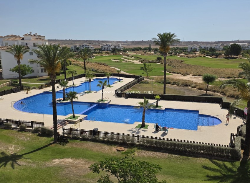 Revente - Apartment - Penthouse - Sucina