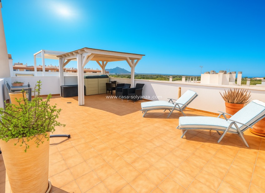 Revente - Appartement - Algorfa - Inland