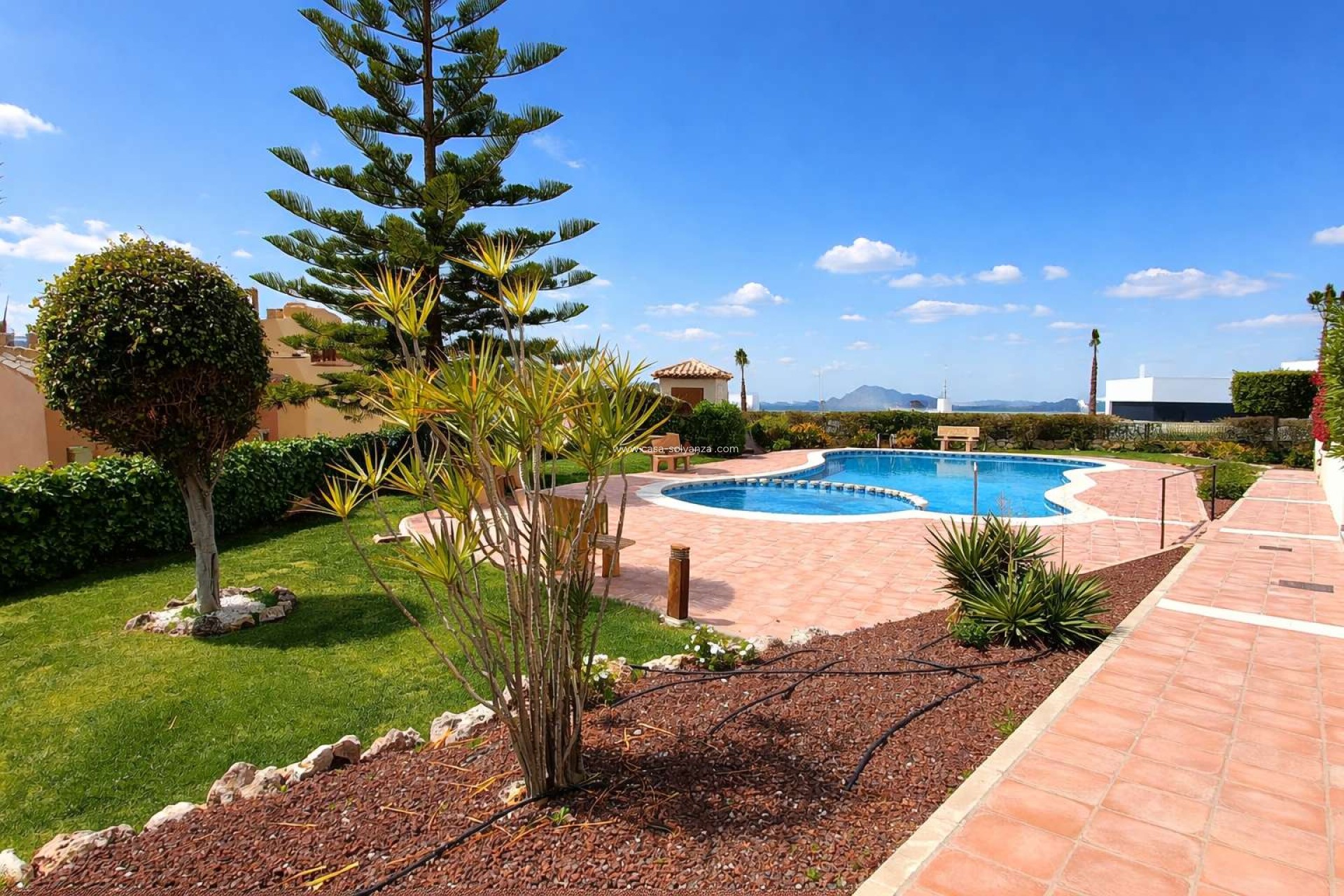 Revente - Appartement - Algorfa - Inland