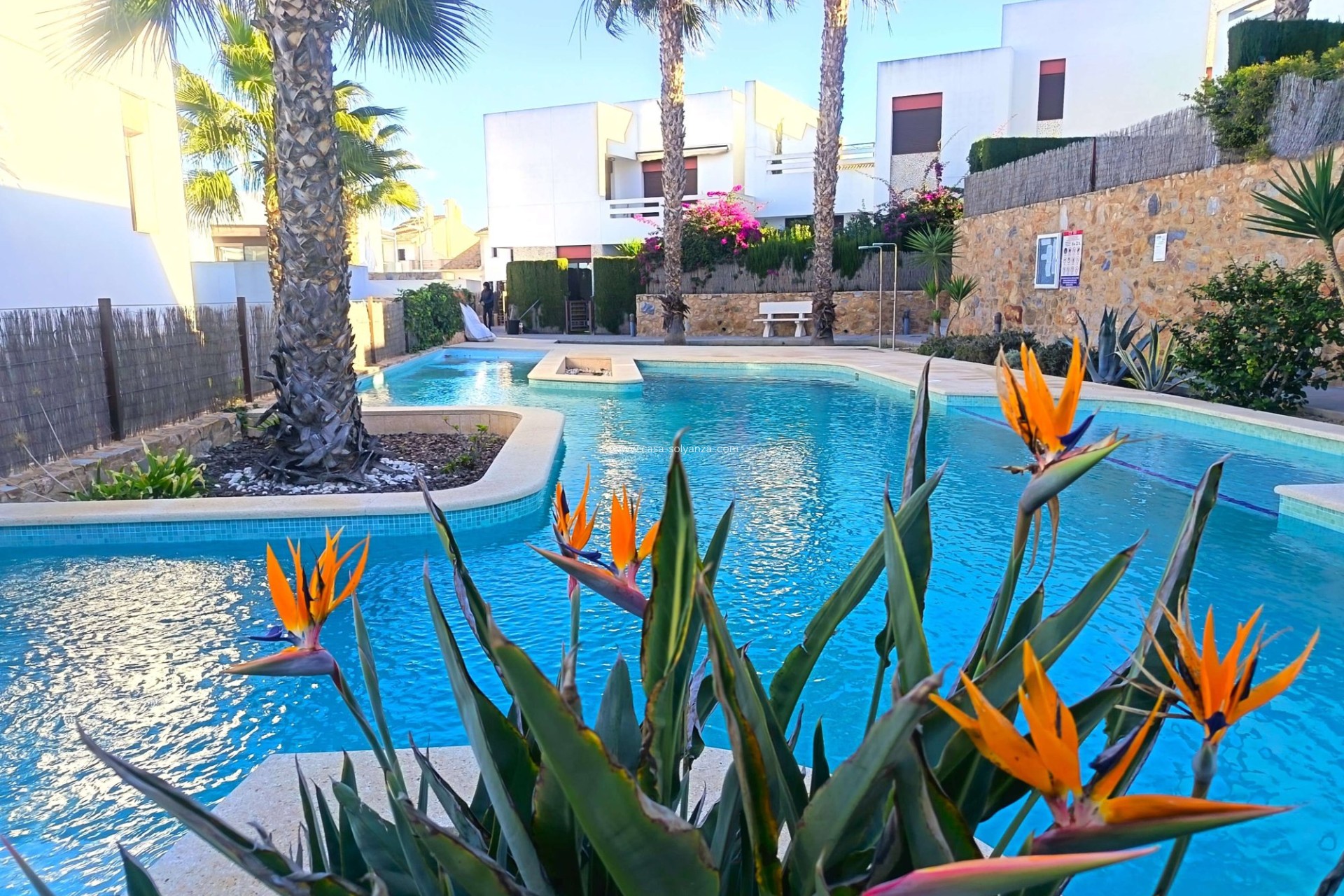 Revente - Appartement - Algorfa - Inland