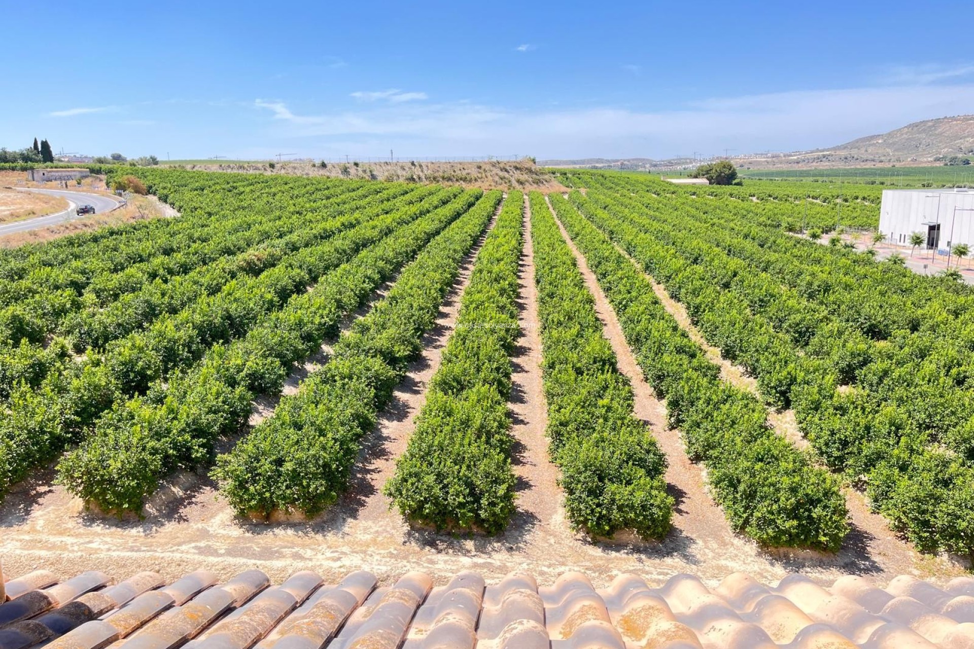 Revente - Appartement - Algorfa - Pueblo